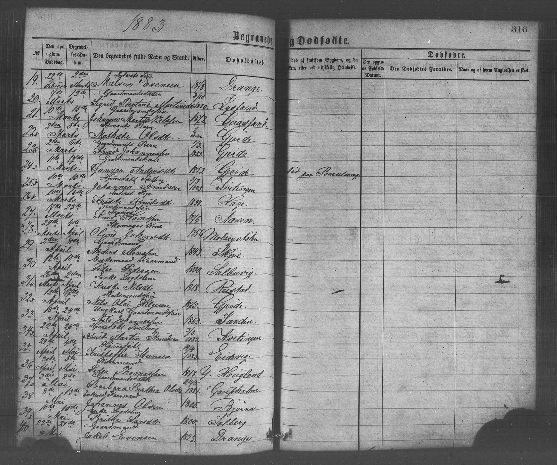 Os sokneprestembete, SAB/A-99929: Parish register (official) no. A 18, 1874-1884, p. 316