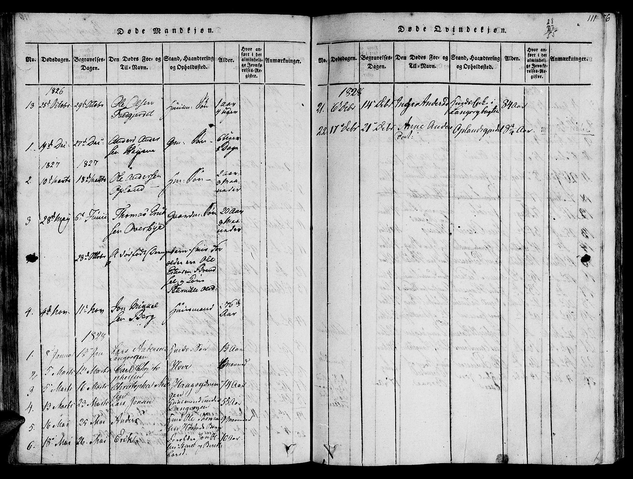 Ministerialprotokoller, klokkerbøker og fødselsregistre - Sør-Trøndelag, AV/SAT-A-1456/612/L0372: Parish register (official) no. 612A06 /1, 1816-1828, p. 111