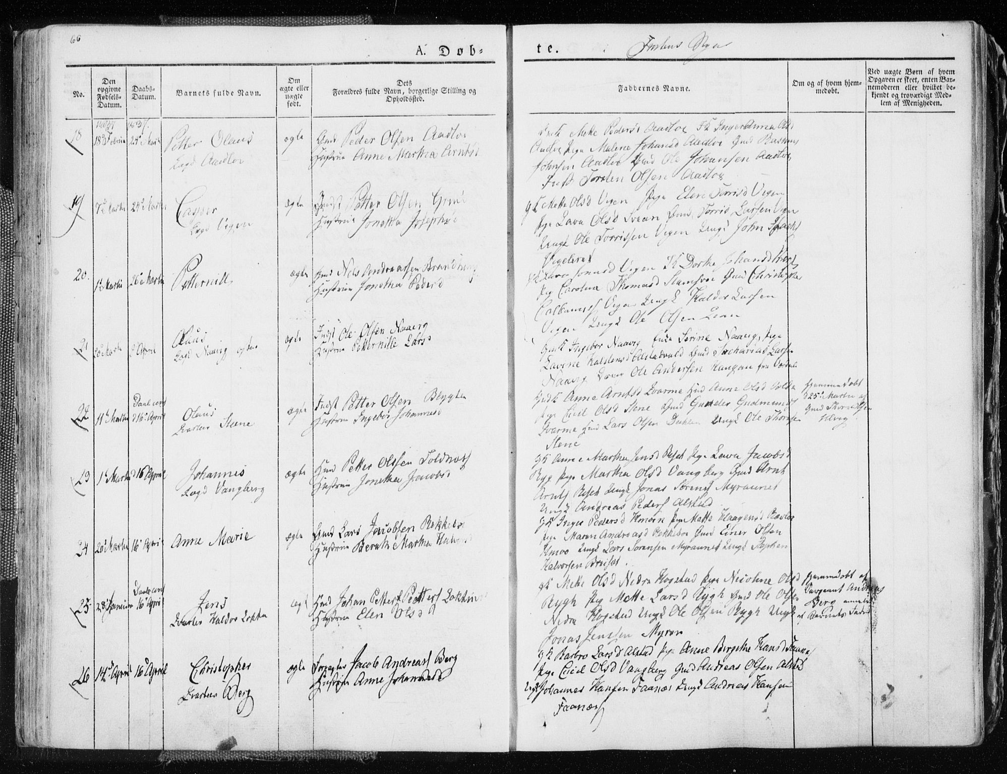 Ministerialprotokoller, klokkerbøker og fødselsregistre - Nord-Trøndelag, SAT/A-1458/713/L0114: Parish register (official) no. 713A05, 1827-1839, p. 66