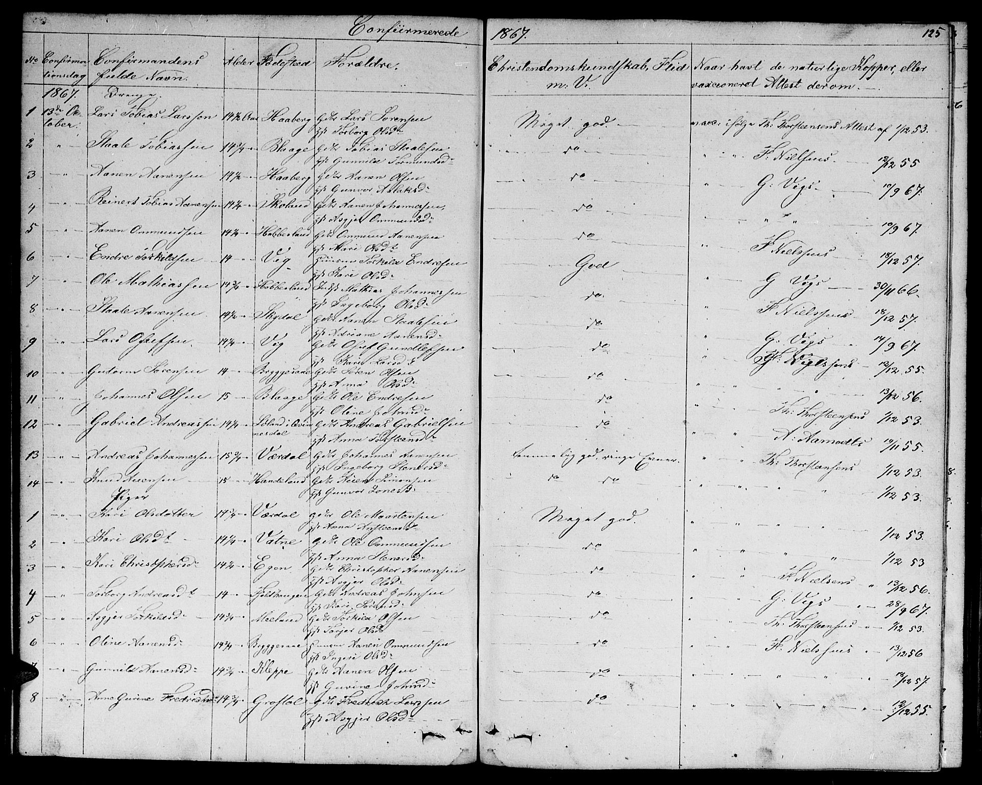 Hægebostad sokneprestkontor, AV/SAK-1111-0024/F/Fb/Fbb/L0002: Parish register (copy) no. B 2, 1851-1886, p. 125