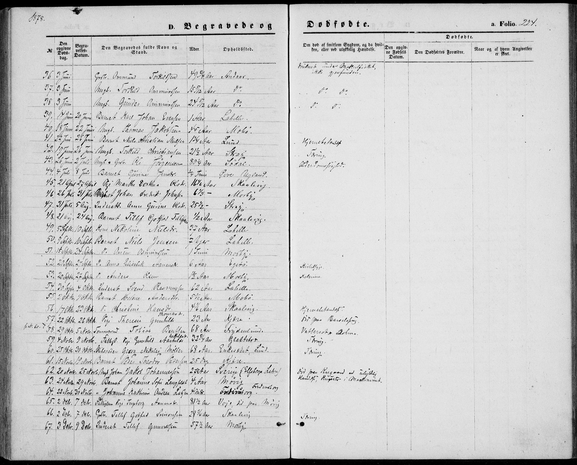 Oddernes sokneprestkontor, AV/SAK-1111-0033/F/Fb/Fba/L0007: Parish register (copy) no. B 7, 1869-1887, p. 224