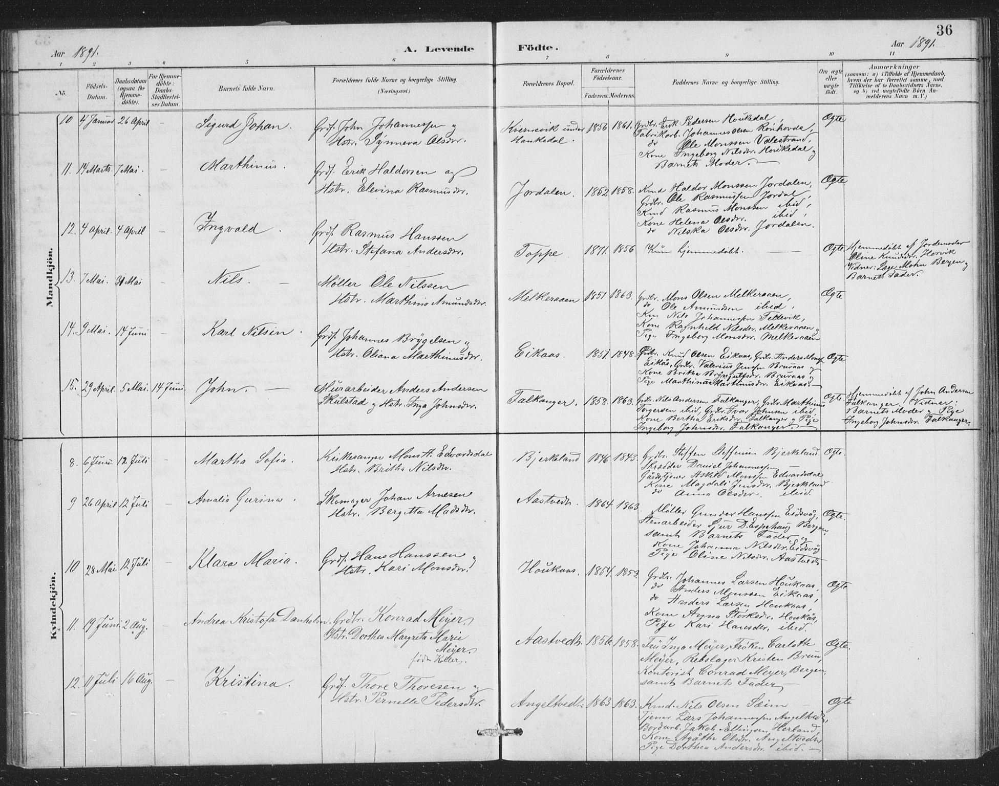 Åsane sokneprestembete, SAB/A-79401/H/Hab: Parish register (copy) no. A 2, 1885-1898, p. 36