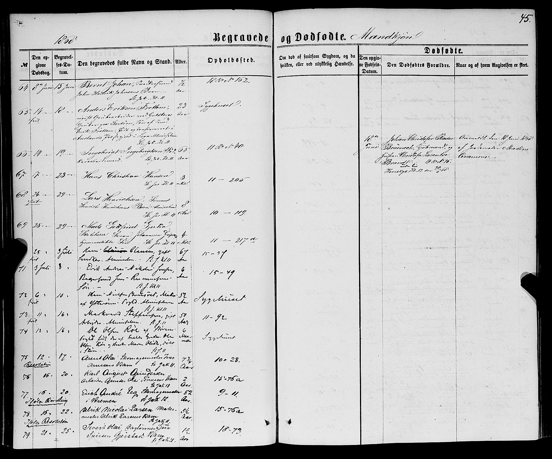 Domkirken sokneprestembete, AV/SAB-A-74801/H/Haa/L0042: Parish register (official) no. E 3, 1863-1876, p. 45