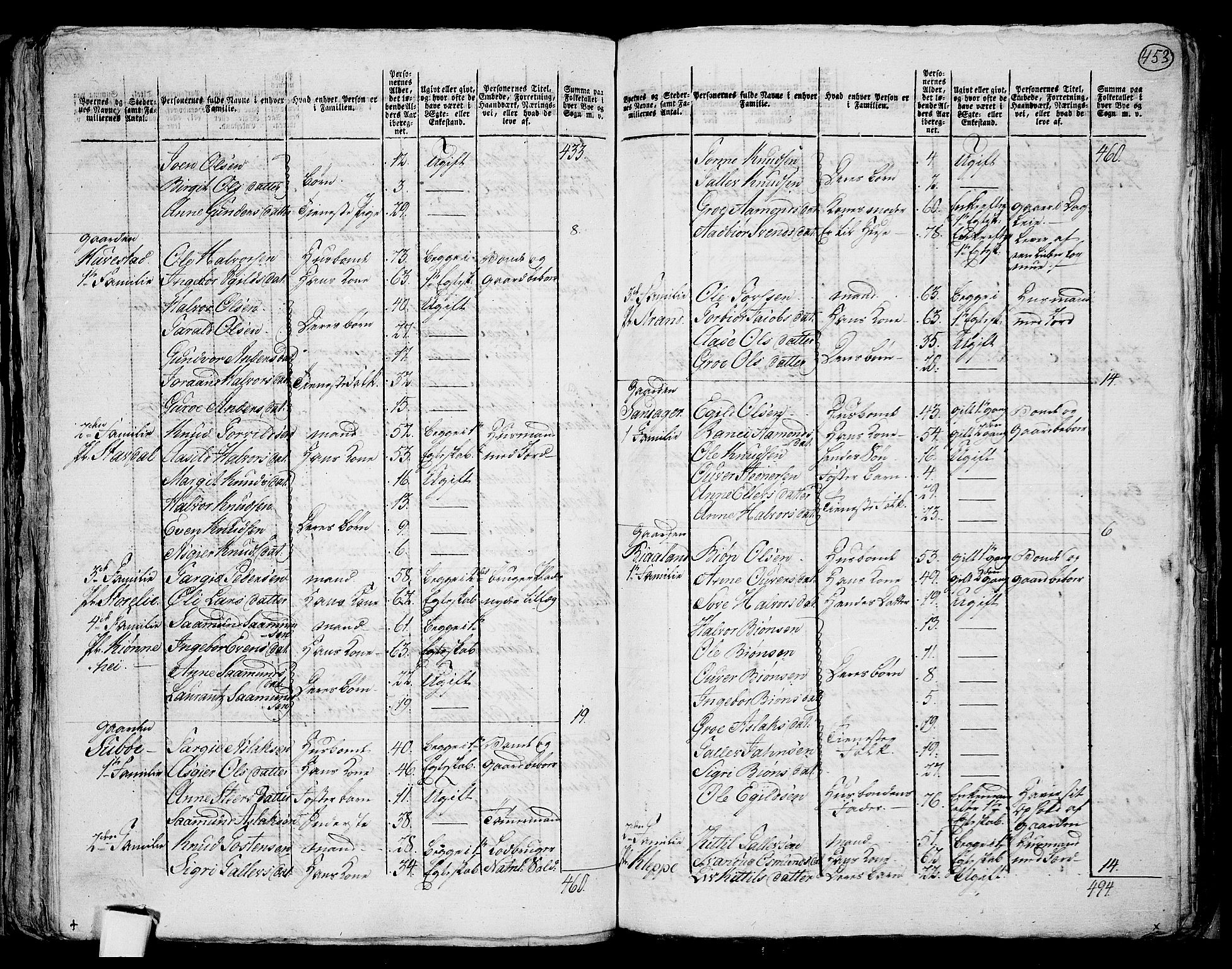 RA, 1801 census for 0829P Kviteseid, 1801, p. 452b-453a