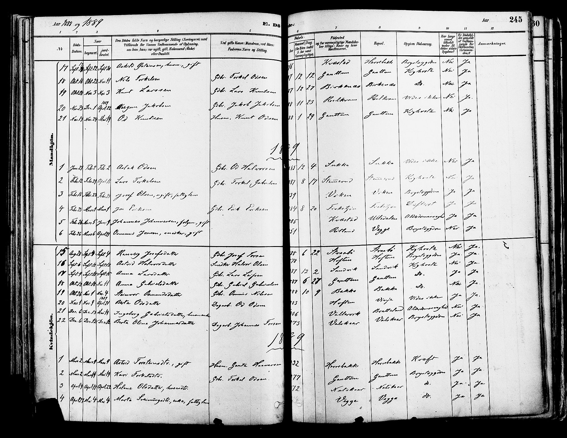 Suldal sokneprestkontor, AV/SAST-A-101845/01/IV/L0011: Parish register (official) no. A 11, 1878-1900, p. 245