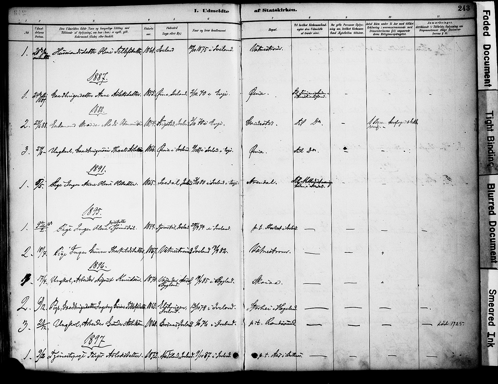 Evje sokneprestkontor, AV/SAK-1111-0008/F/Fa/Fac/L0003: Parish register (official) no. A 3, 1884-1909, p. 243