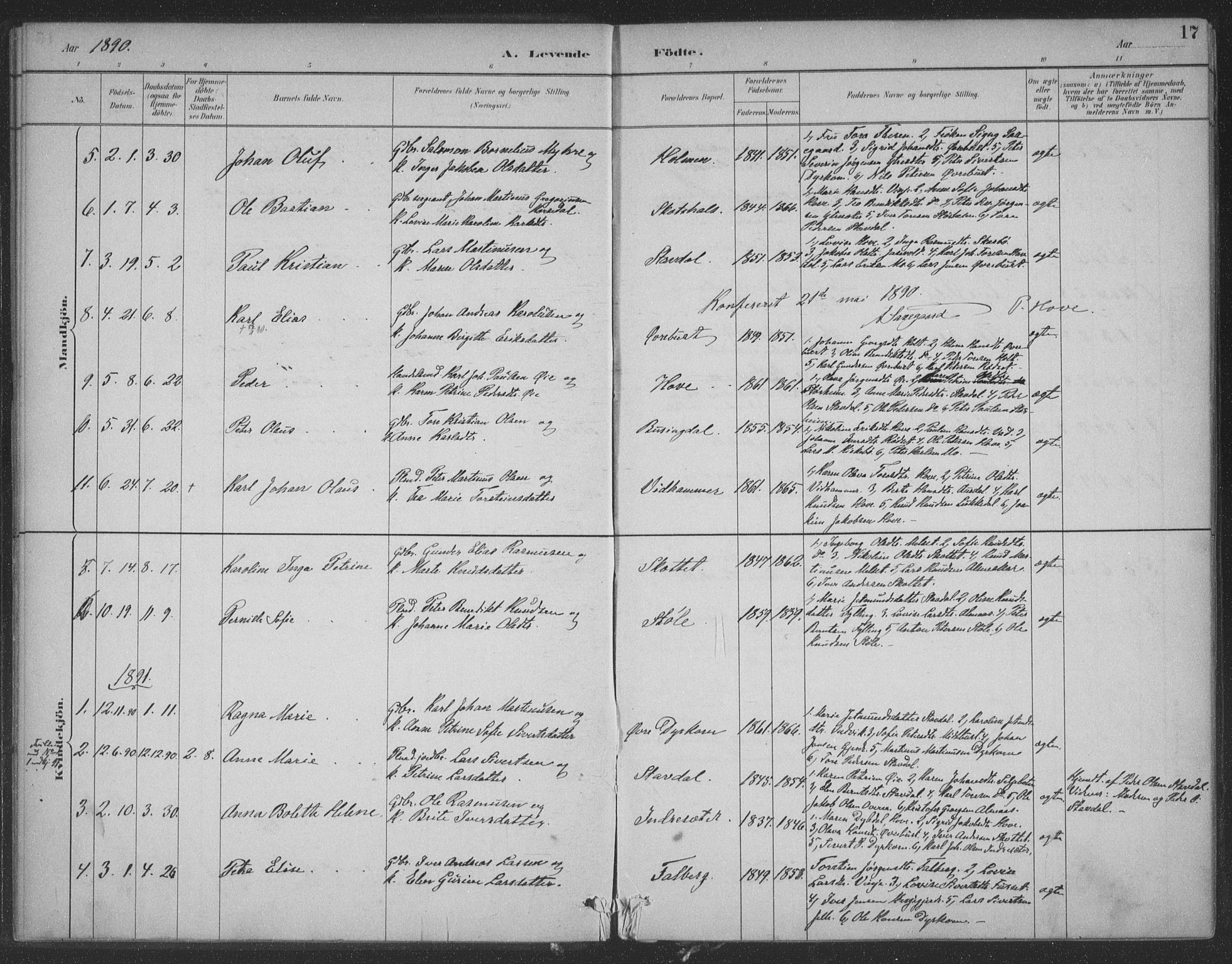 Ministerialprotokoller, klokkerbøker og fødselsregistre - Møre og Romsdal, SAT/A-1454/521/L0299: Parish register (official) no. 521A01, 1882-1907, p. 17
