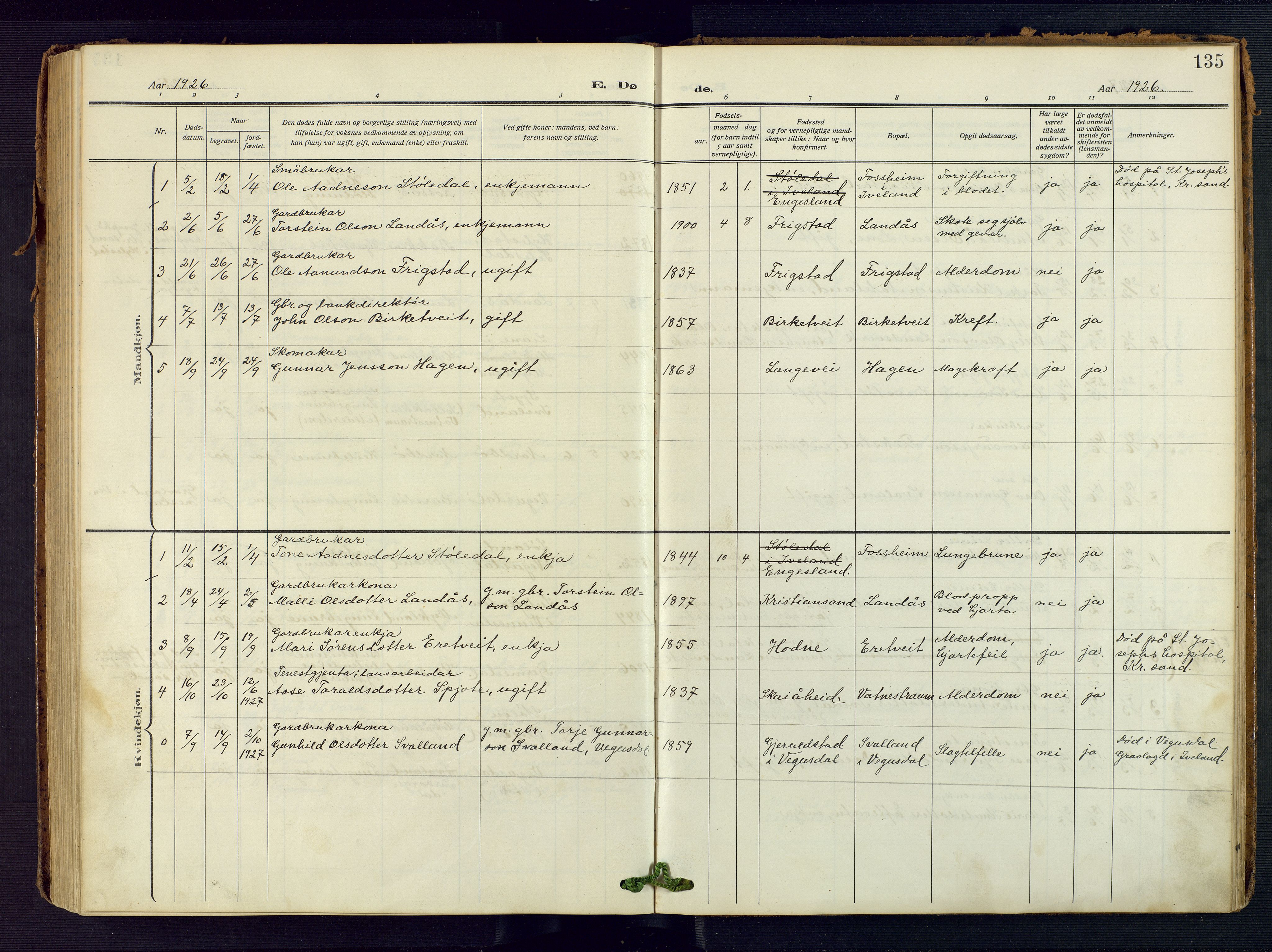 Evje sokneprestkontor, AV/SAK-1111-0008/F/Fa/Fac/L0004: Parish register (official) no. A 4, 1910-1932, p. 135