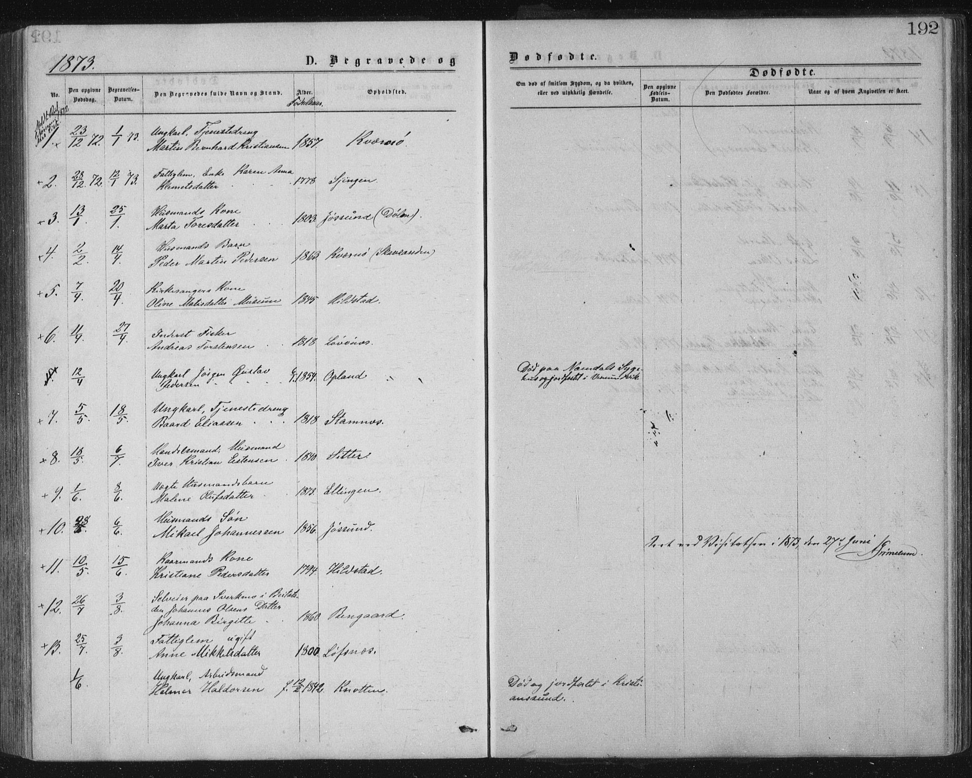 Ministerialprotokoller, klokkerbøker og fødselsregistre - Nord-Trøndelag, SAT/A-1458/771/L0596: Parish register (official) no. 771A03, 1870-1884, p. 192