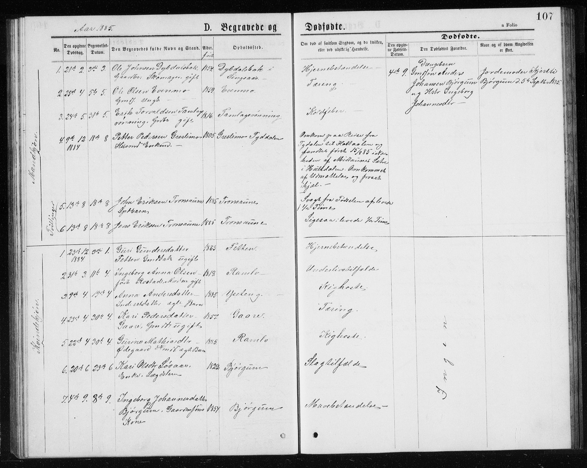 Ministerialprotokoller, klokkerbøker og fødselsregistre - Sør-Trøndelag, SAT/A-1456/685/L0977: Parish register (copy) no. 685C02, 1879-1890, p. 107