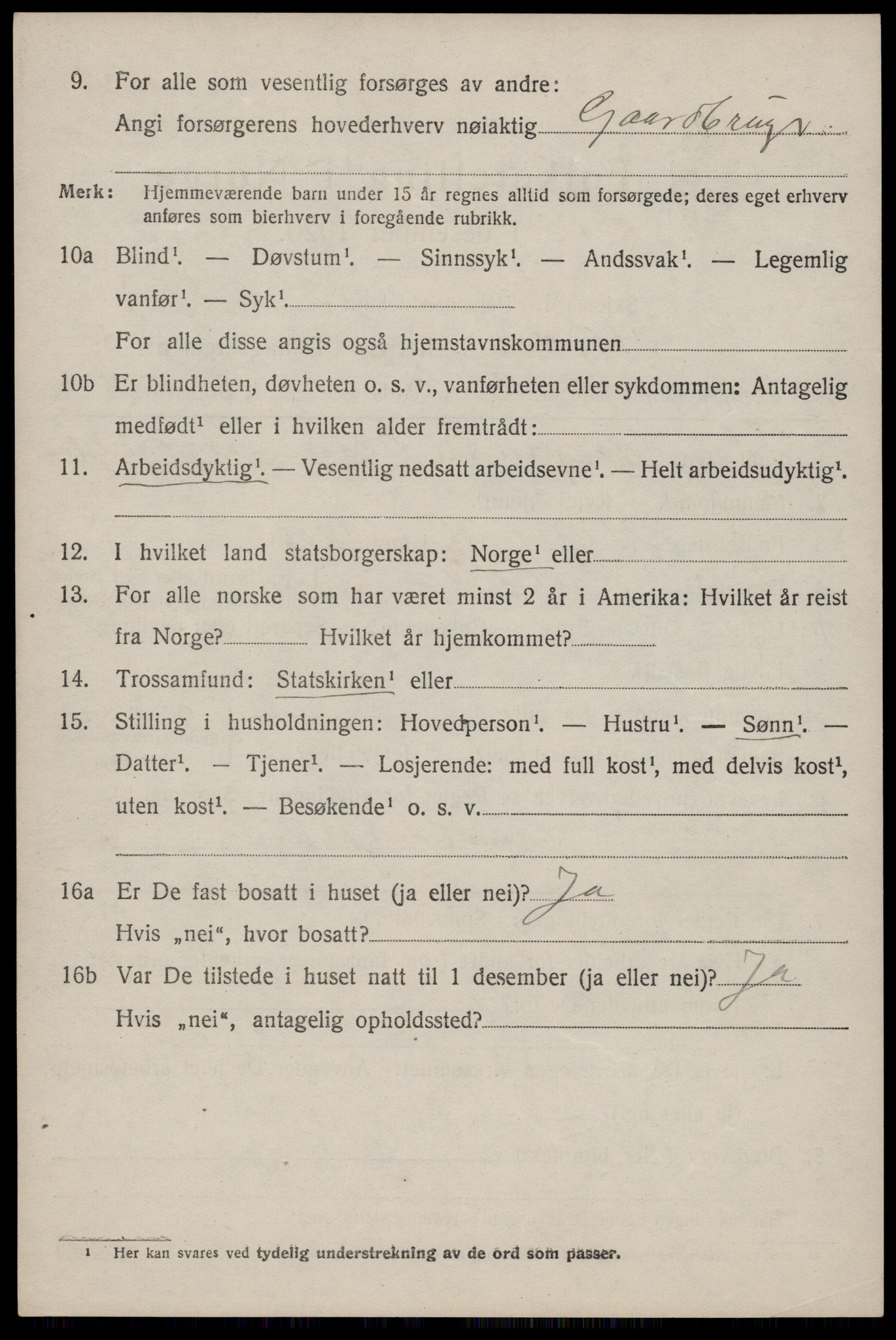 SAST, 1920 census for Årdal, 1920, p. 1481