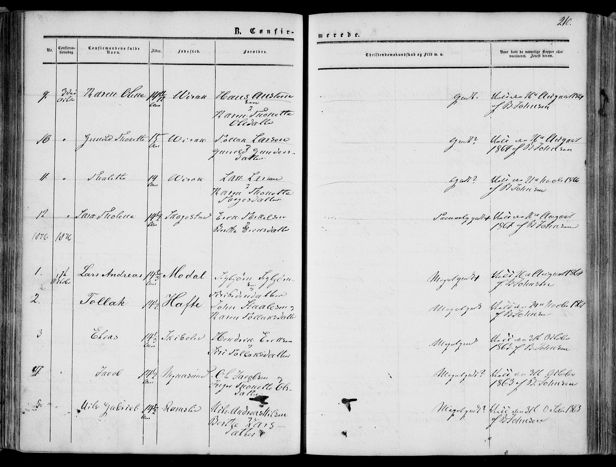 Bakke sokneprestkontor, AV/SAK-1111-0002/F/Fa/Faa/L0006: Parish register (official) no. A 6, 1855-1877, p. 210