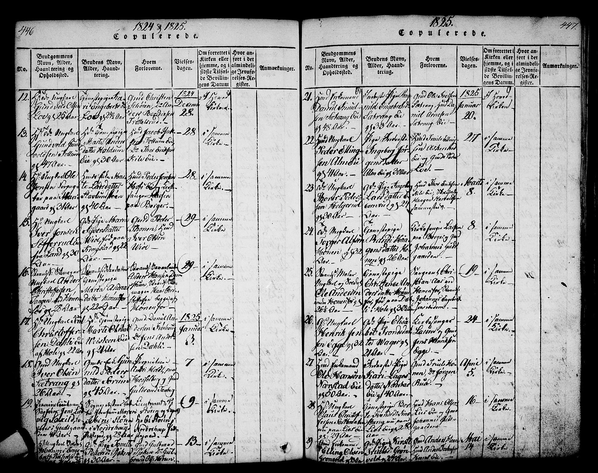 Norderhov kirkebøker, SAKO/A-237/G/Ga/L0002: Parish register (copy) no. I 2, 1814-1867, p. 446-447