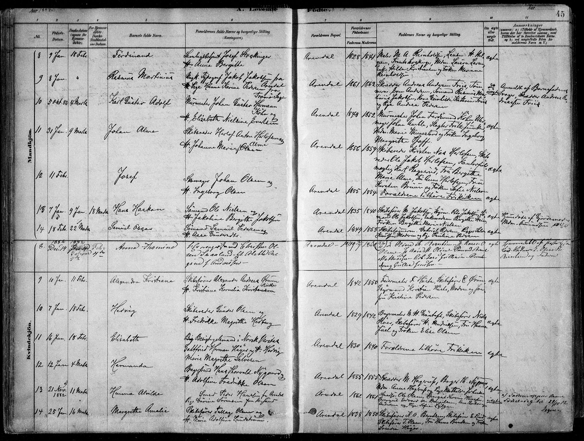 Arendal sokneprestkontor, Trefoldighet, AV/SAK-1111-0040/F/Fa/L0008: Parish register (official) no. A 8, 1878-1899, p. 45