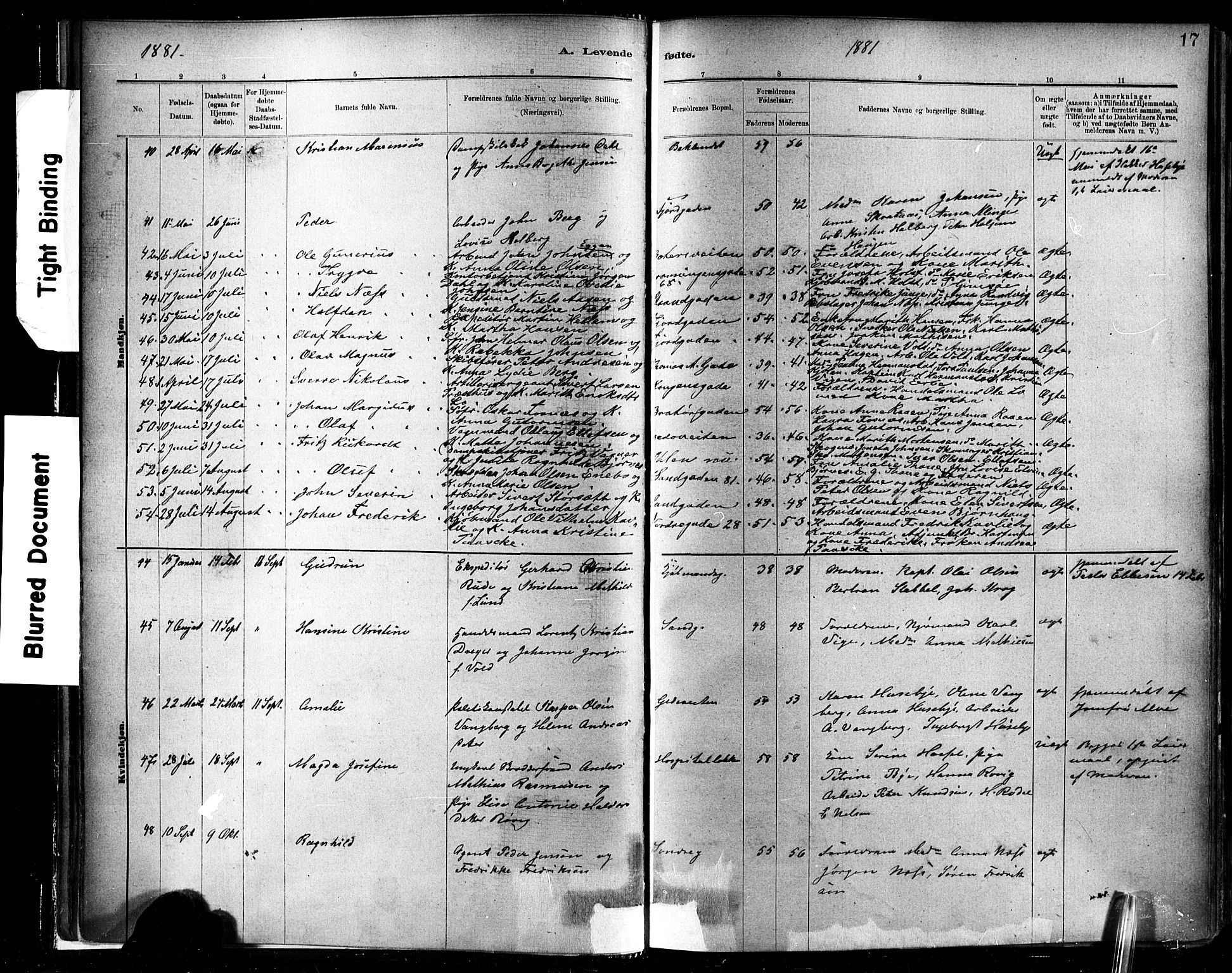 Ministerialprotokoller, klokkerbøker og fødselsregistre - Sør-Trøndelag, SAT/A-1456/602/L0119: Parish register (official) no. 602A17, 1880-1901, p. 17