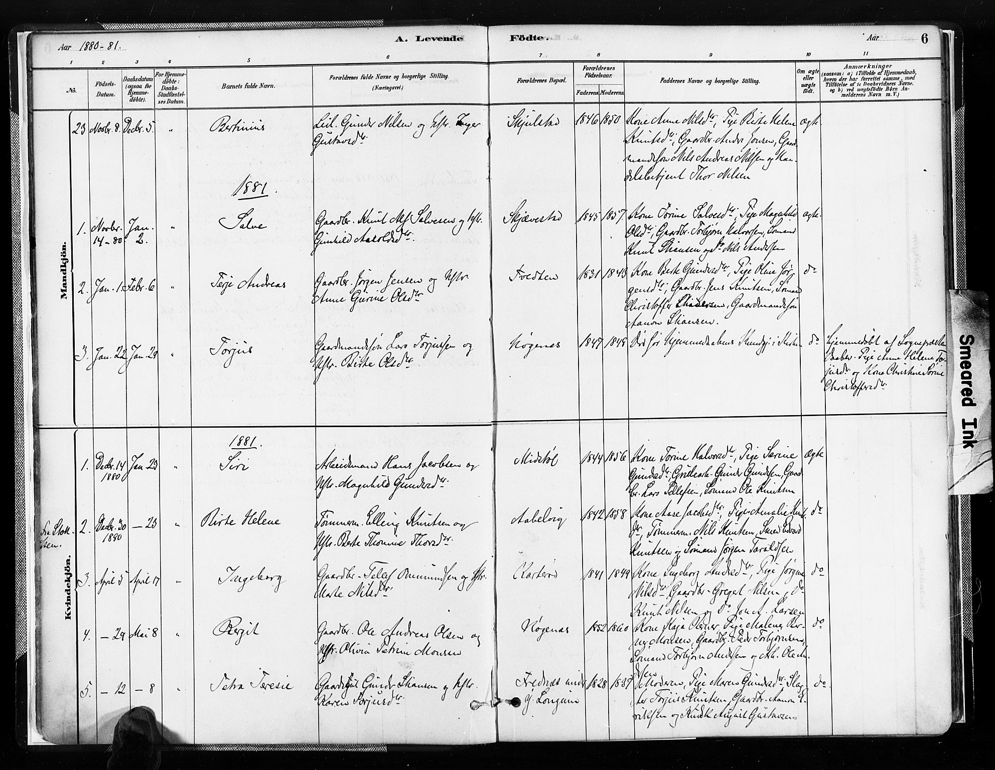 Austre Moland sokneprestkontor, SAK/1111-0001/F/Fa/Faa/L0010: Parish register (official) no. A 10, 1880-1904, p. 6