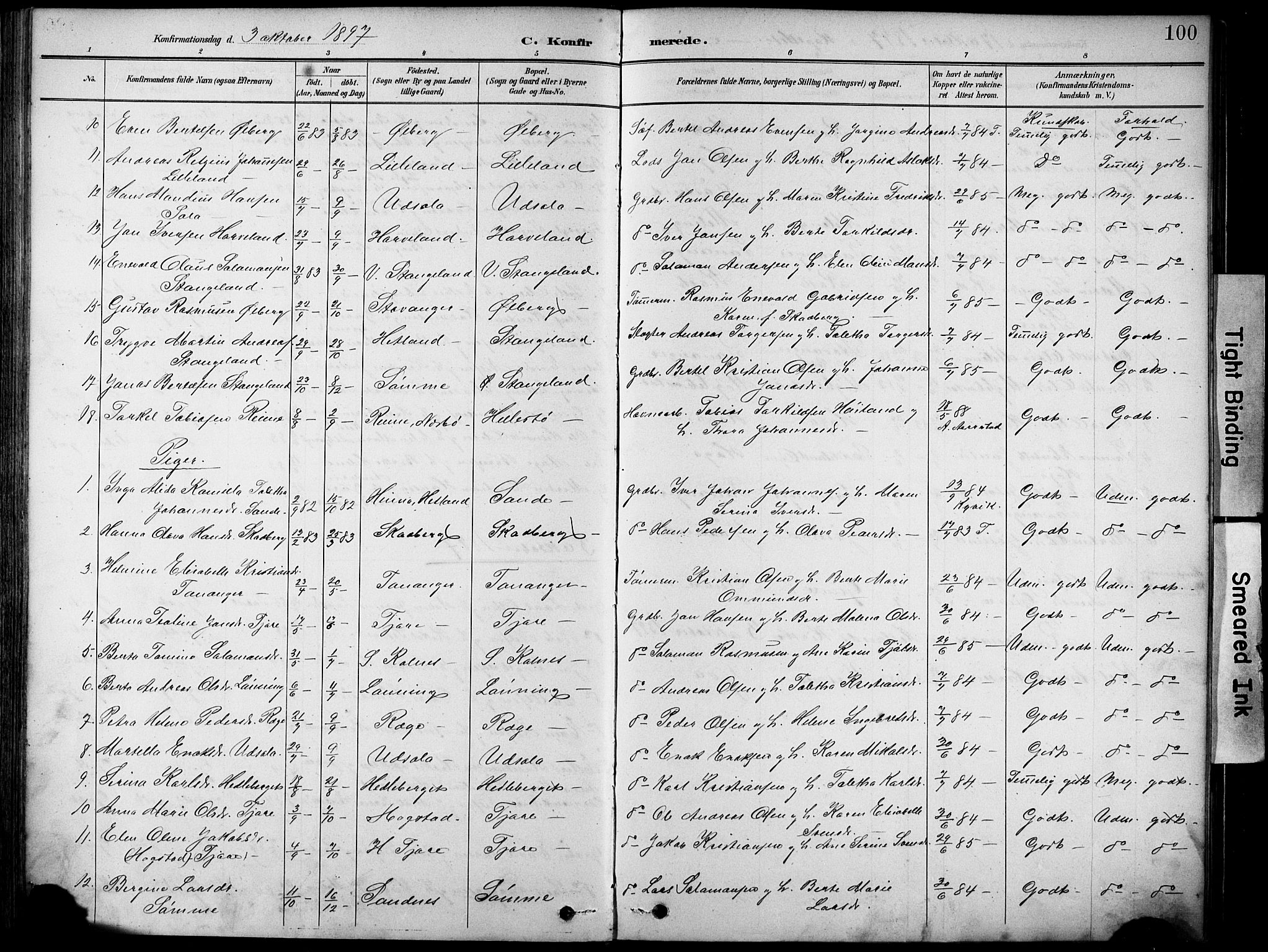 Håland sokneprestkontor, AV/SAST-A-101802/001/30BA/L0012: Parish register (official) no. A 11, 1889-1900, p. 100