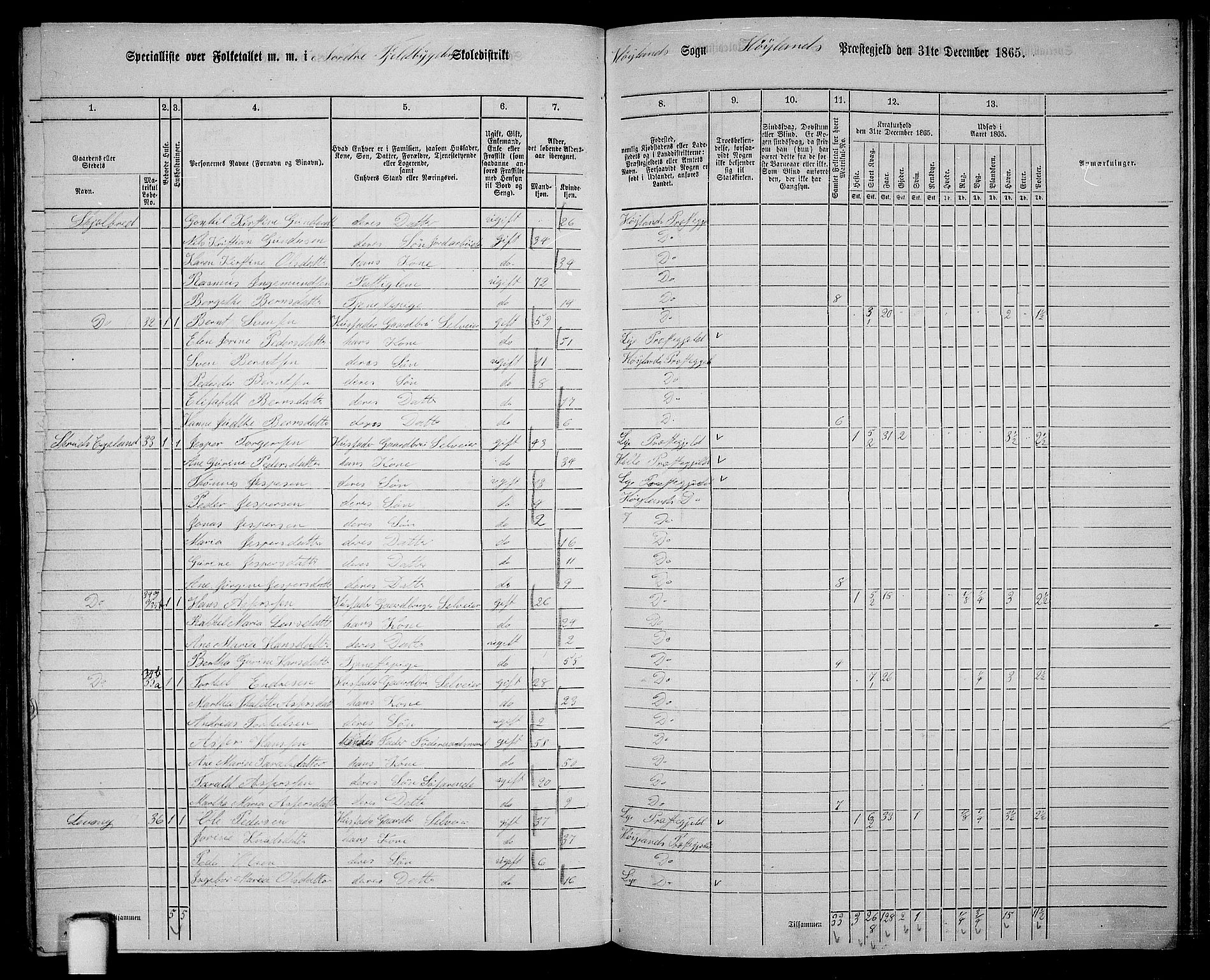 RA, 1865 census for Høyland, 1865, p. 121