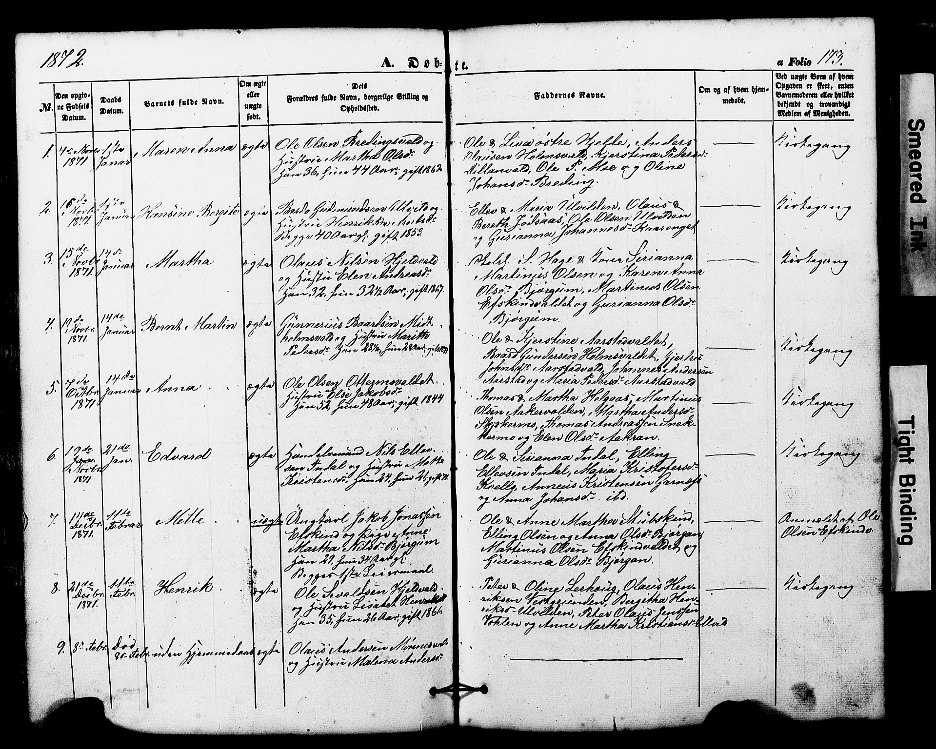 Ministerialprotokoller, klokkerbøker og fødselsregistre - Nord-Trøndelag, SAT/A-1458/724/L0268: Parish register (copy) no. 724C04, 1846-1878, p. 173