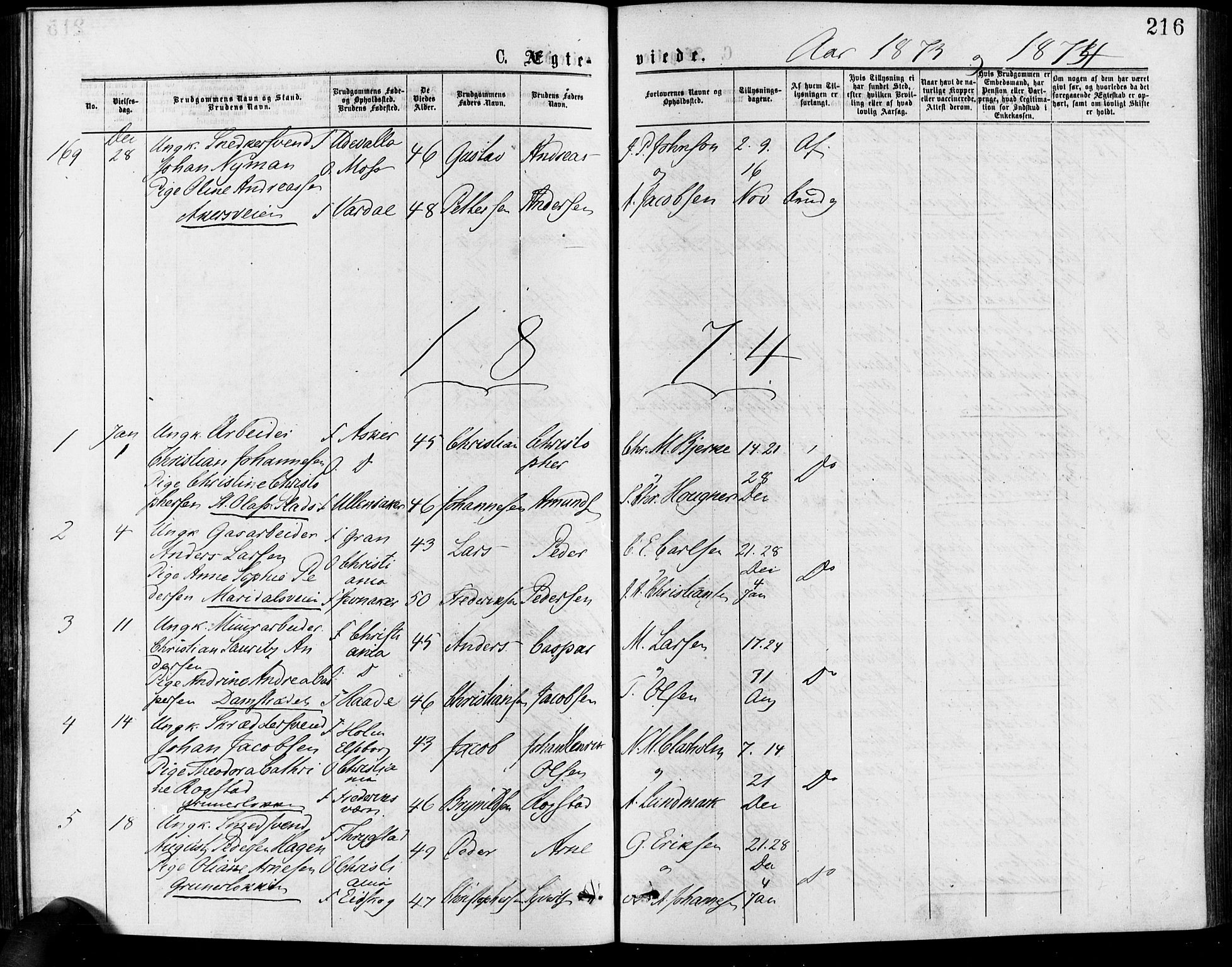 Gamle Aker prestekontor Kirkebøker, SAO/A-10617a/F/L0005: Parish register (official) no. 5, 1873-1881, p. 216