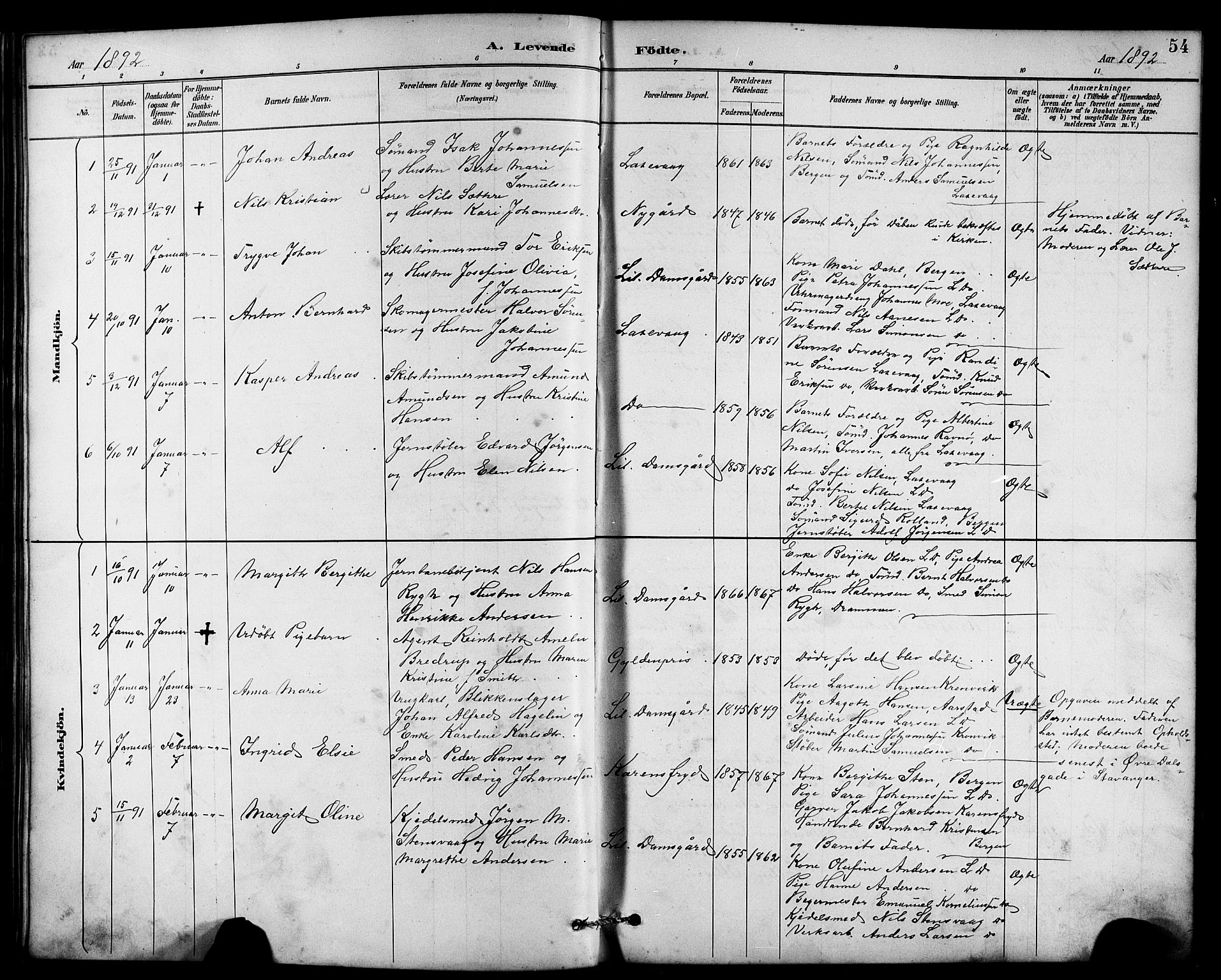 Laksevåg Sokneprestembete, SAB/A-76501/H/Ha/Hab/Haba/L0003: Parish register (copy) no. A 3, 1887-1899, p. 54