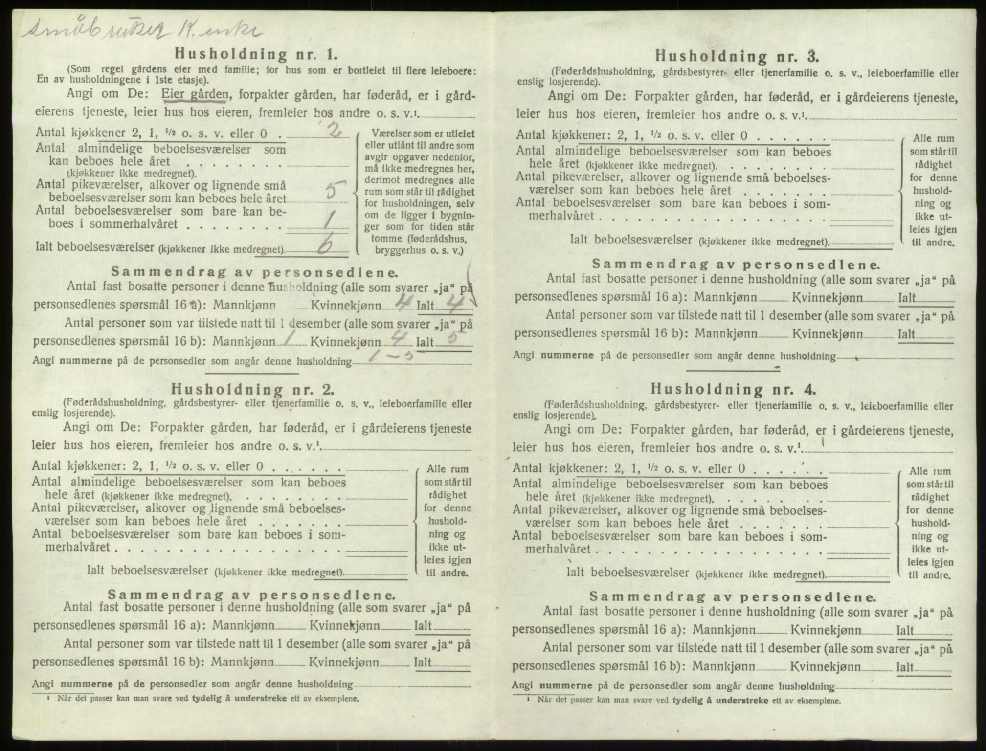 SAO, 1920 census for Hvaler, 1920, p. 994