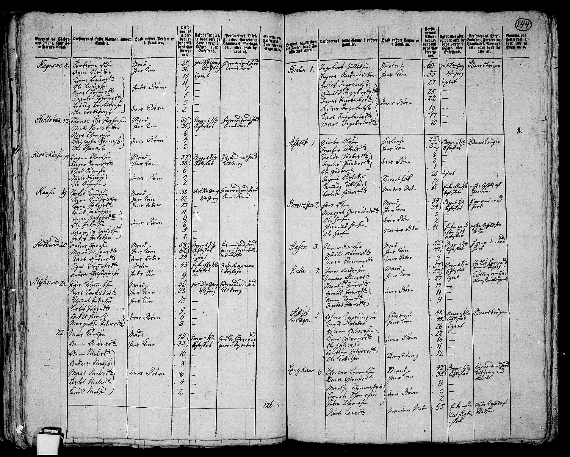 RA, 1801 census for 0821P Bø, 1801, p. 243b-244a