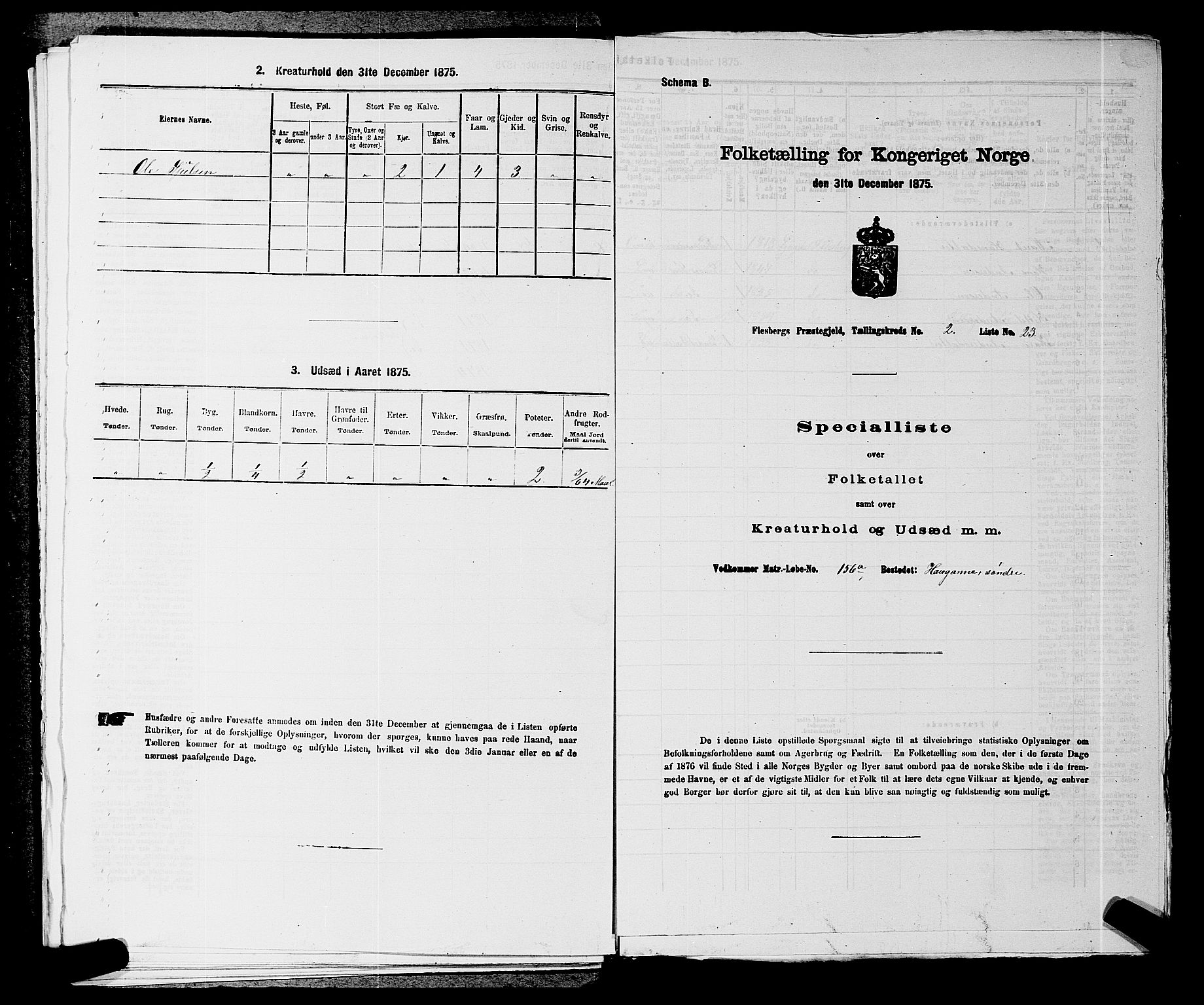 SAKO, 1875 census for 0631P Flesberg, 1875, p. 525