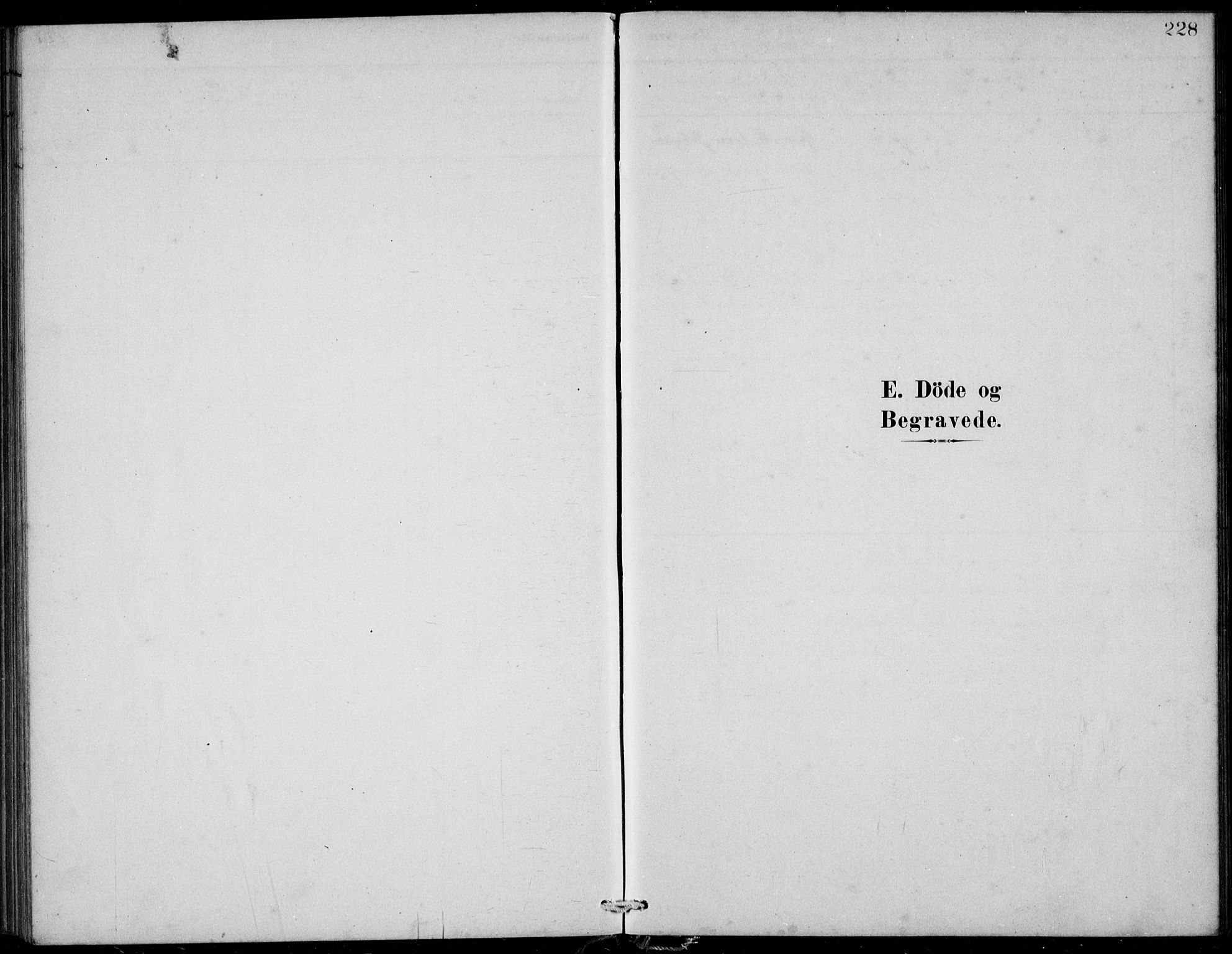 Askvoll sokneprestembete, SAB/A-79501/H/Hab/Habb/L0001: Parish register (copy) no. B 1, 1879-1909, p. 228