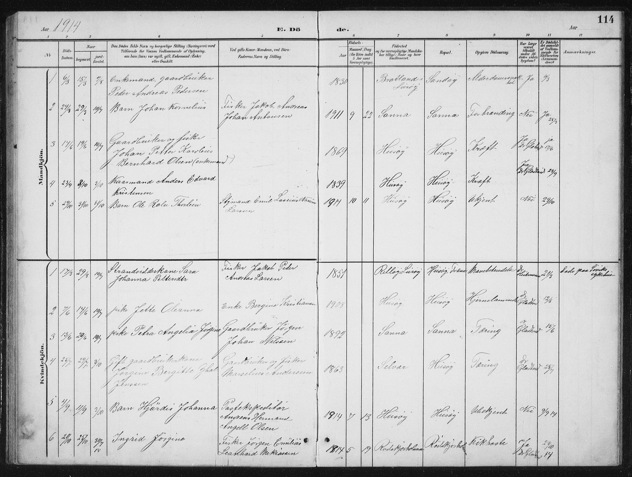 Ministerialprotokoller, klokkerbøker og fødselsregistre - Nordland, SAT/A-1459/840/L0583: Parish register (copy) no. 840C03, 1901-1933, p. 114