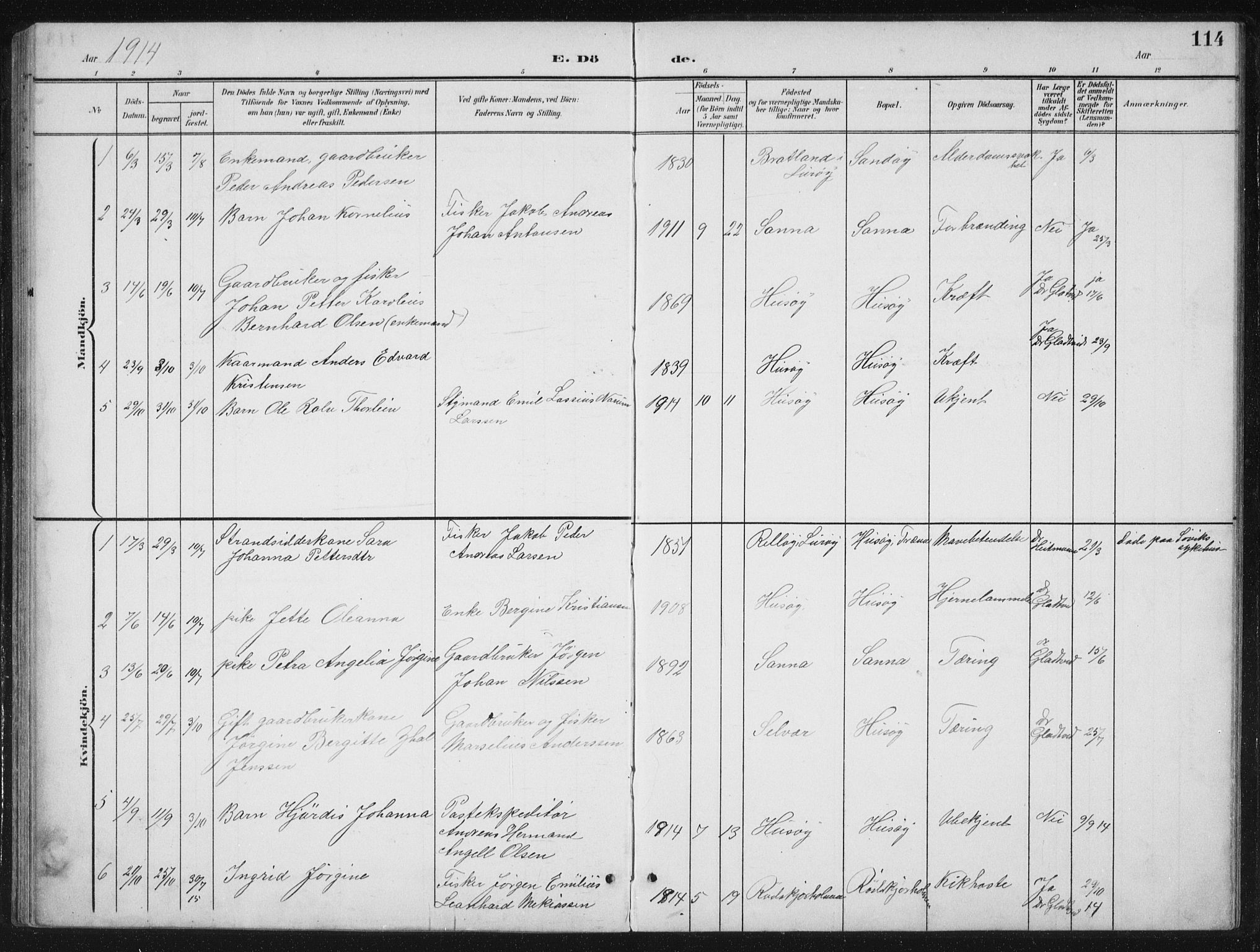 Ministerialprotokoller, klokkerbøker og fødselsregistre - Nordland, AV/SAT-A-1459/840/L0583: Parish register (copy) no. 840C03, 1901-1933, p. 114