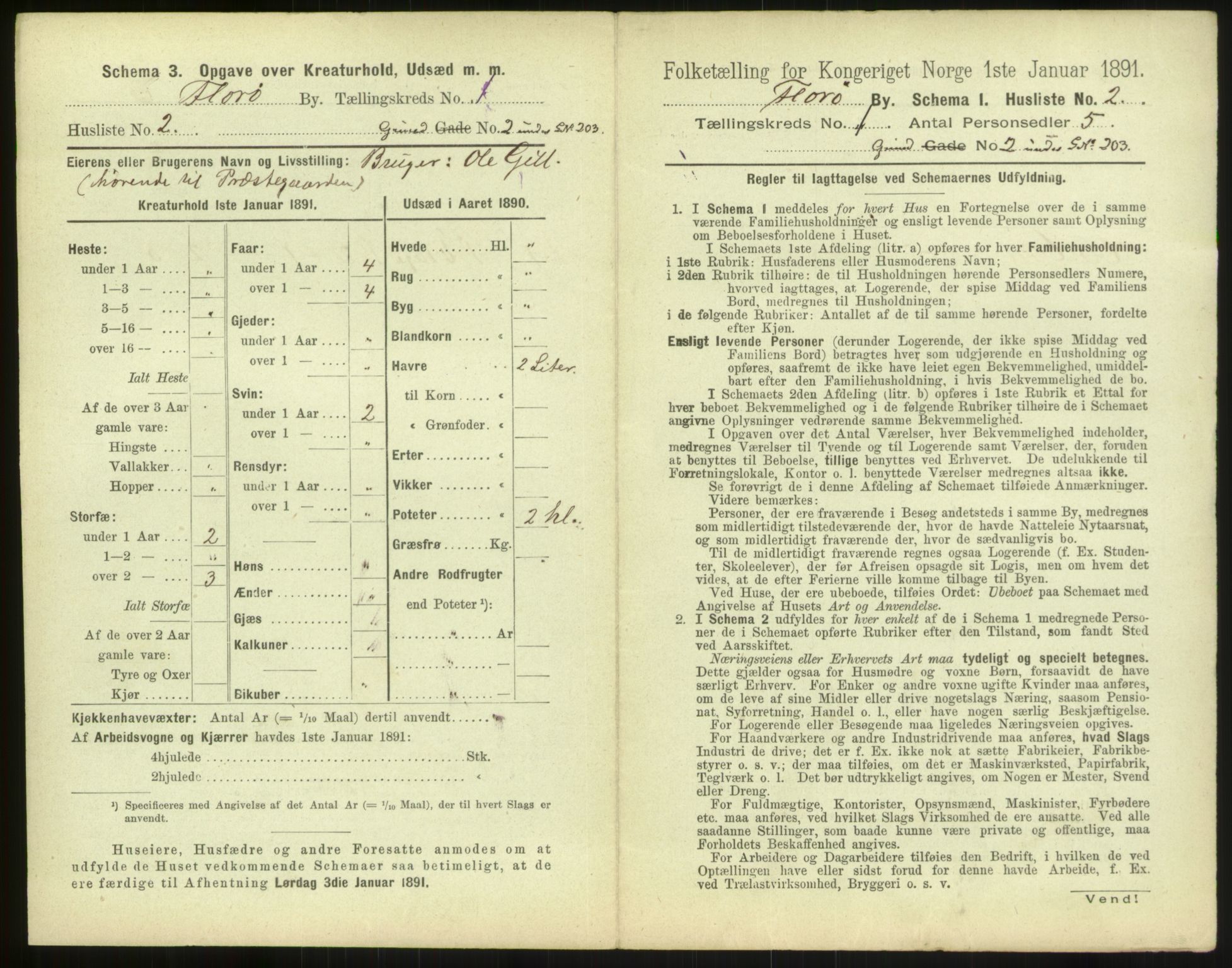 RA, 1891 census for 1401 Florø, 1891, p. 11