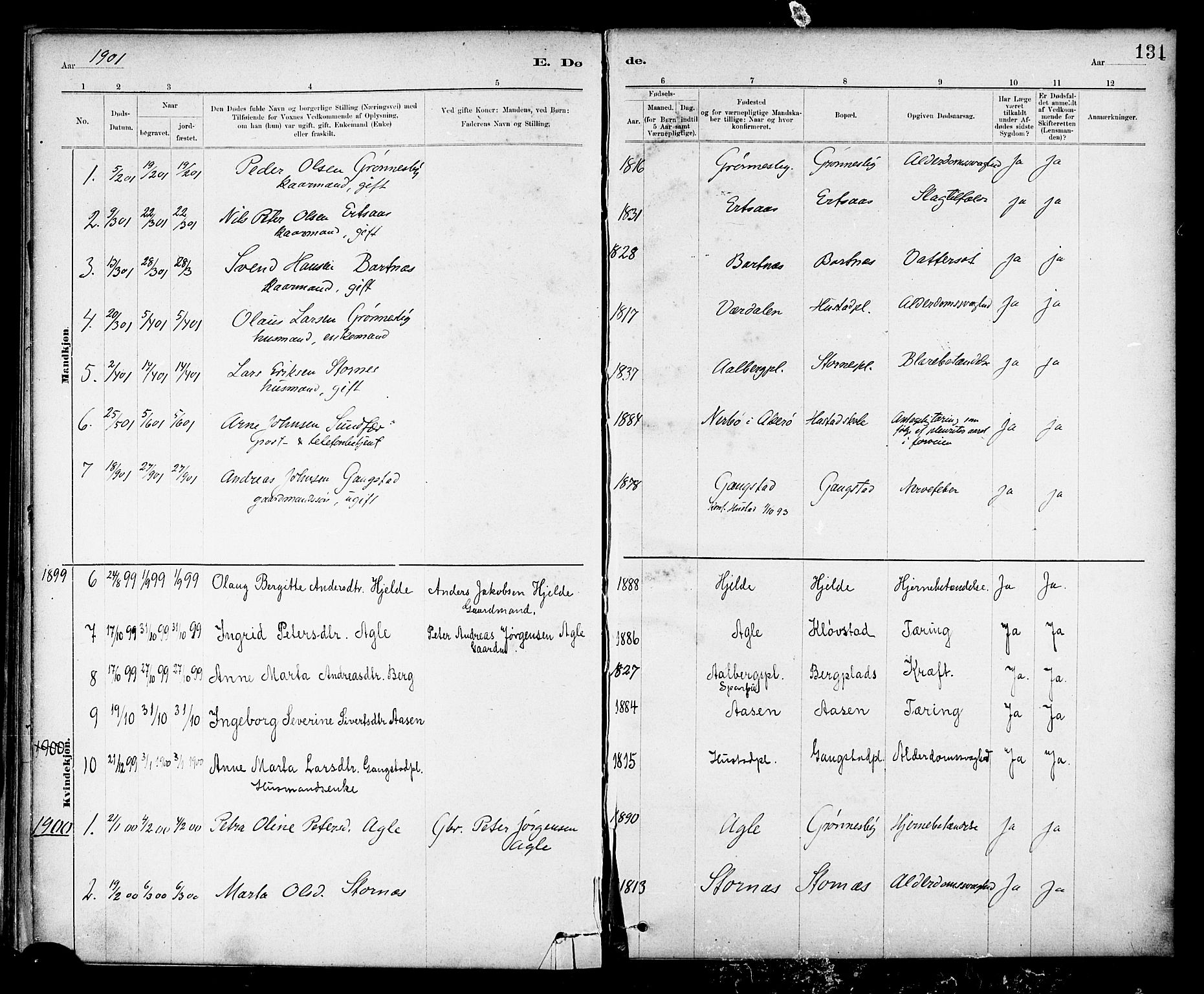 Ministerialprotokoller, klokkerbøker og fødselsregistre - Nord-Trøndelag, SAT/A-1458/732/L0318: Parish register (copy) no. 732C02, 1881-1911, p. 131