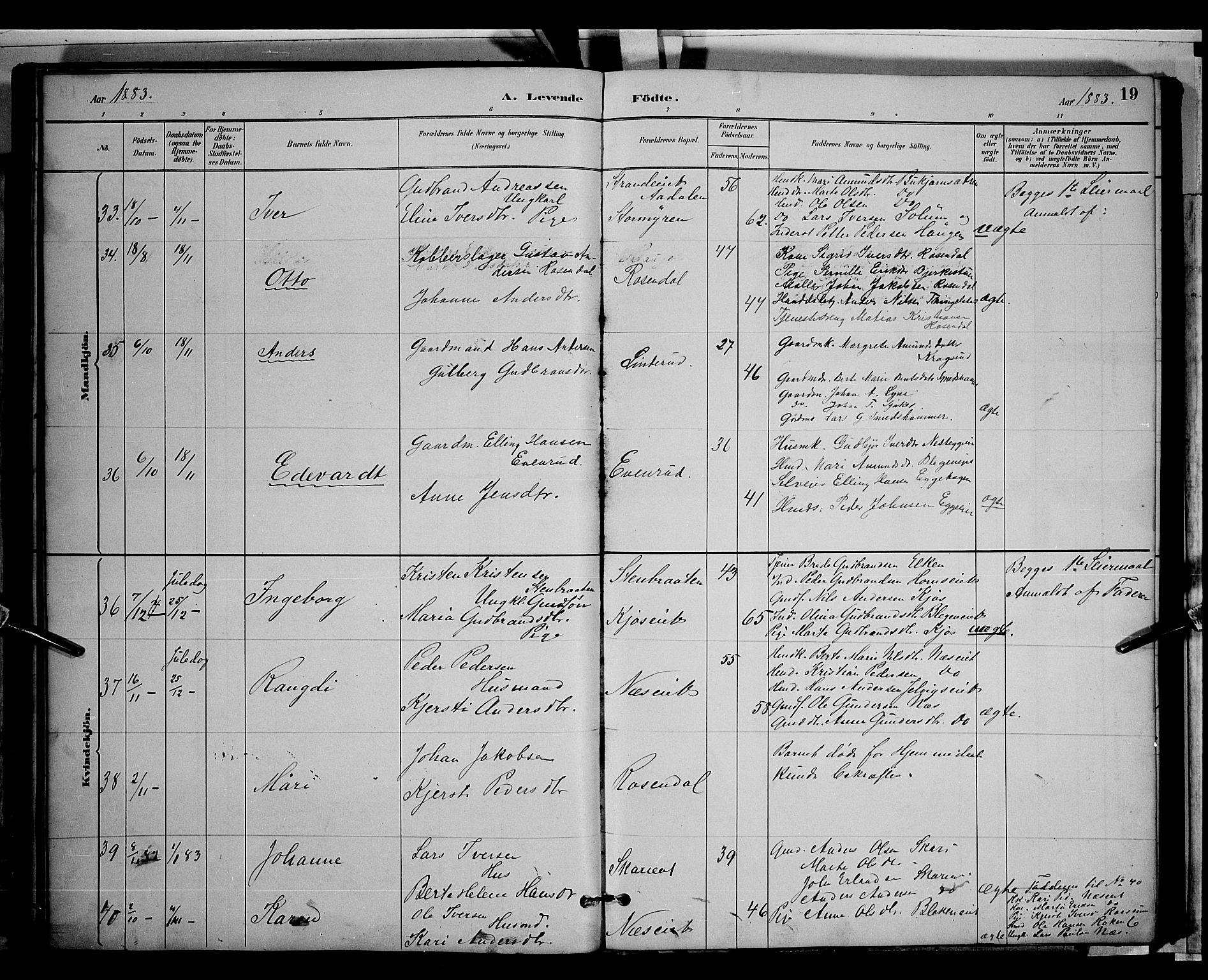 Gran prestekontor, SAH/PREST-112/H/Ha/Hab/L0003: Parish register (copy) no. 3, 1882-1890, p. 19