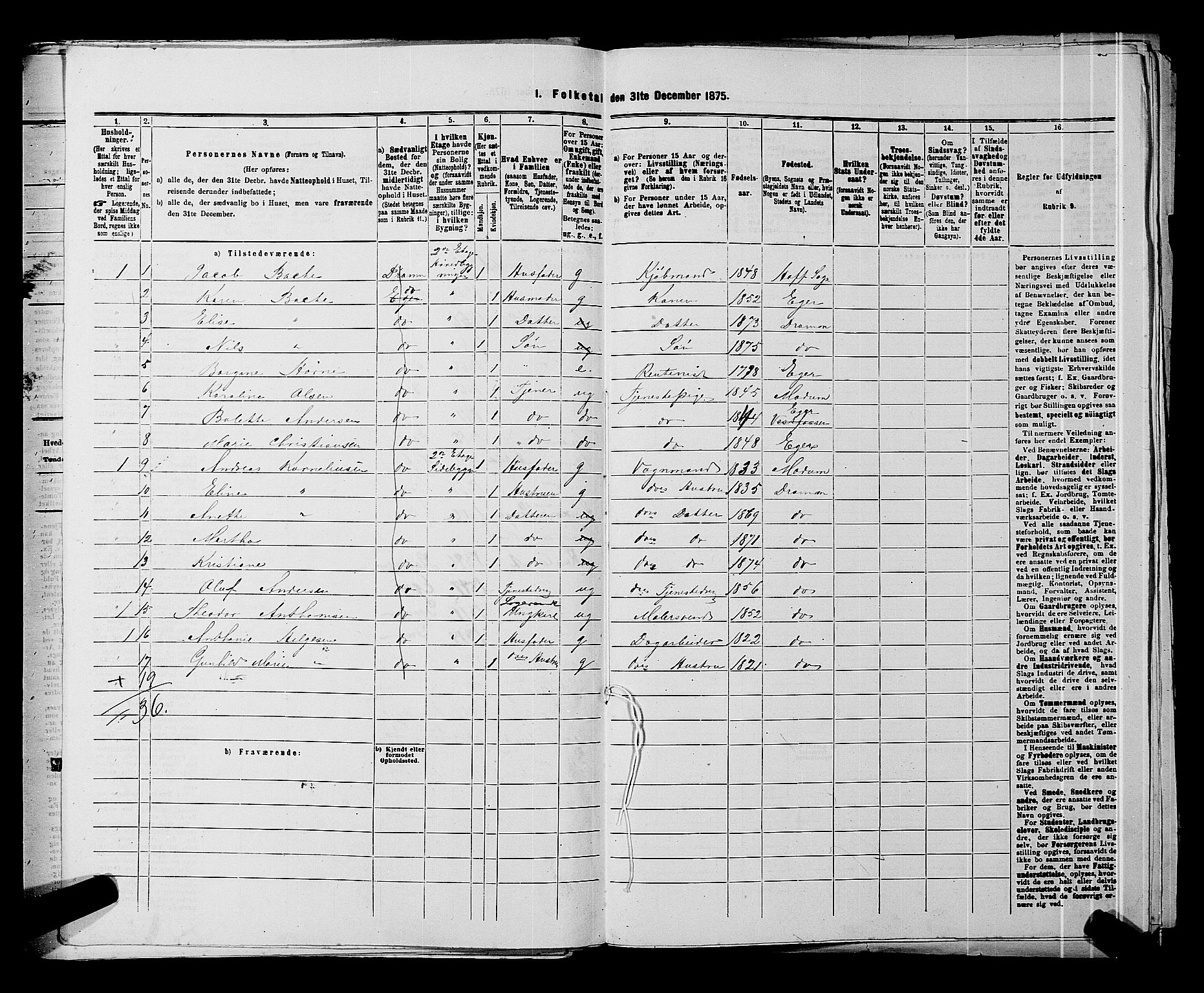 SAKO, 1875 census for 0602 Drammen, 1875, p. 373