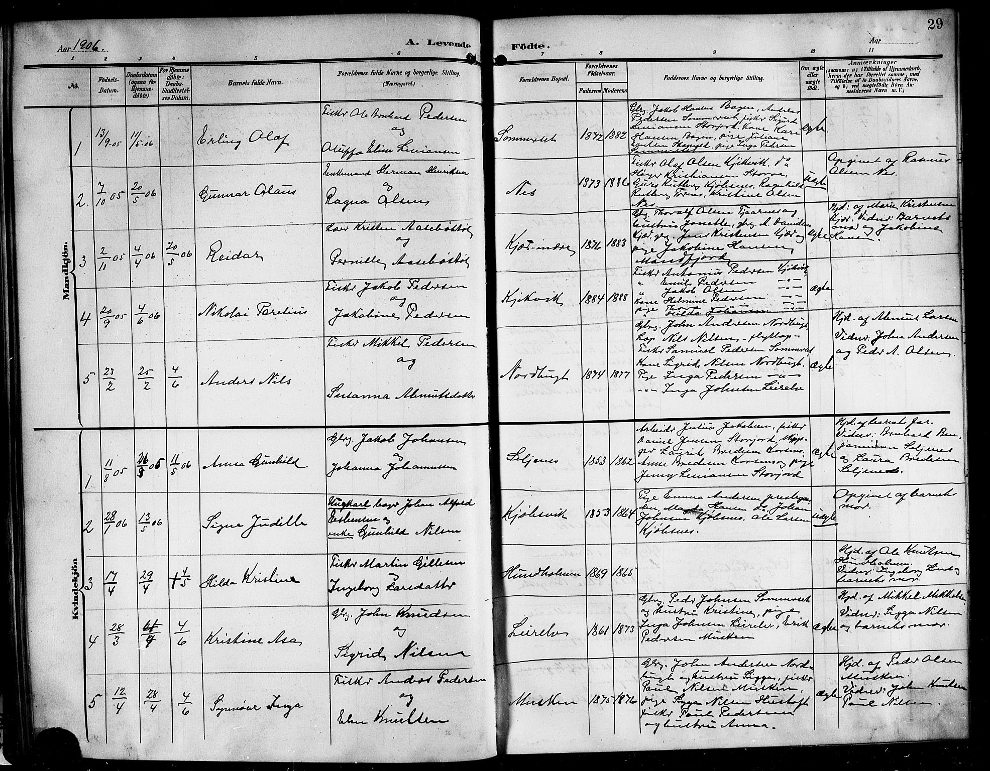 Ministerialprotokoller, klokkerbøker og fødselsregistre - Nordland, AV/SAT-A-1459/861/L0877: Parish register (copy) no. 861C03, 1903-1919, p. 29