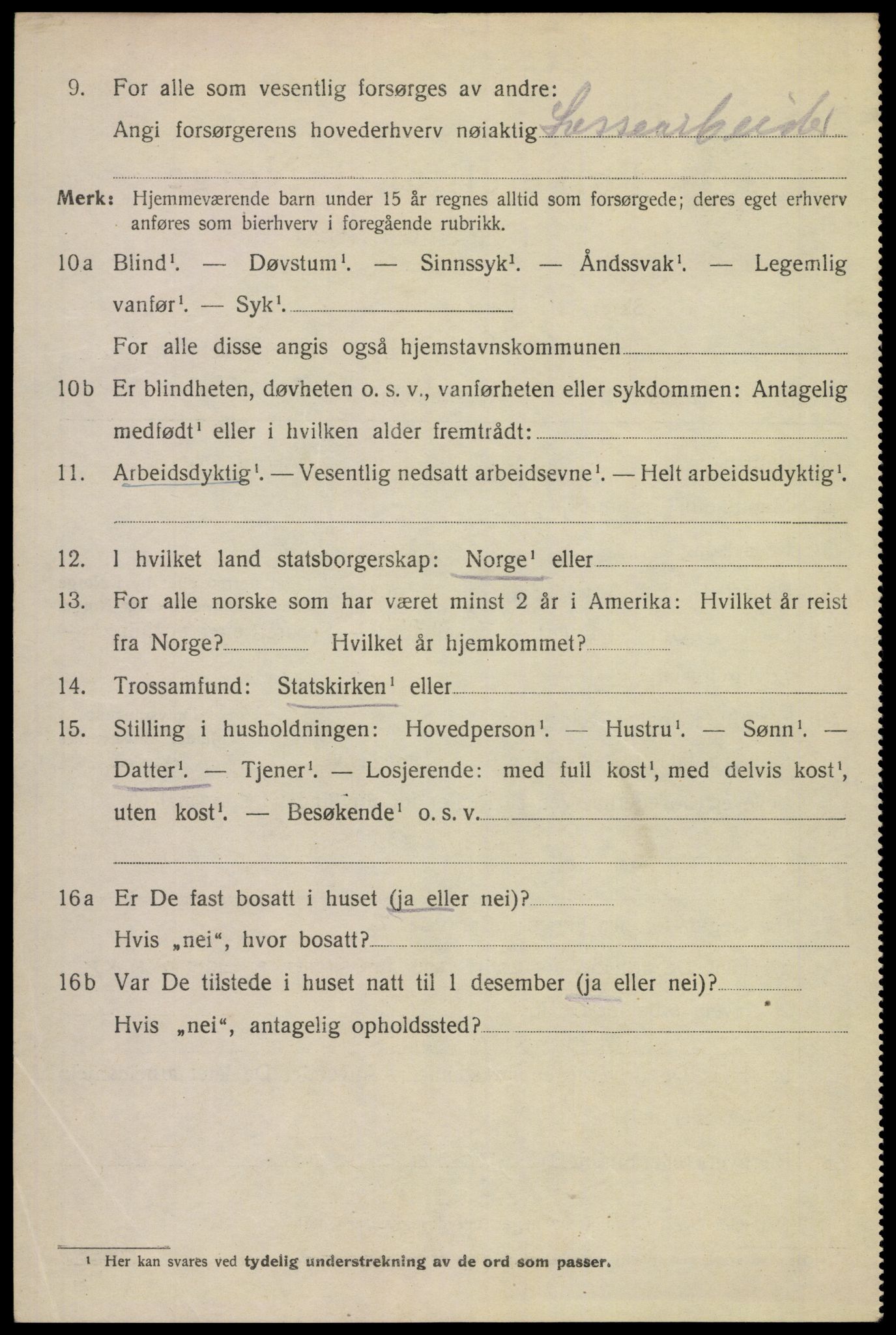 SAKO, 1920 census for Skien, 1920, p. 45081