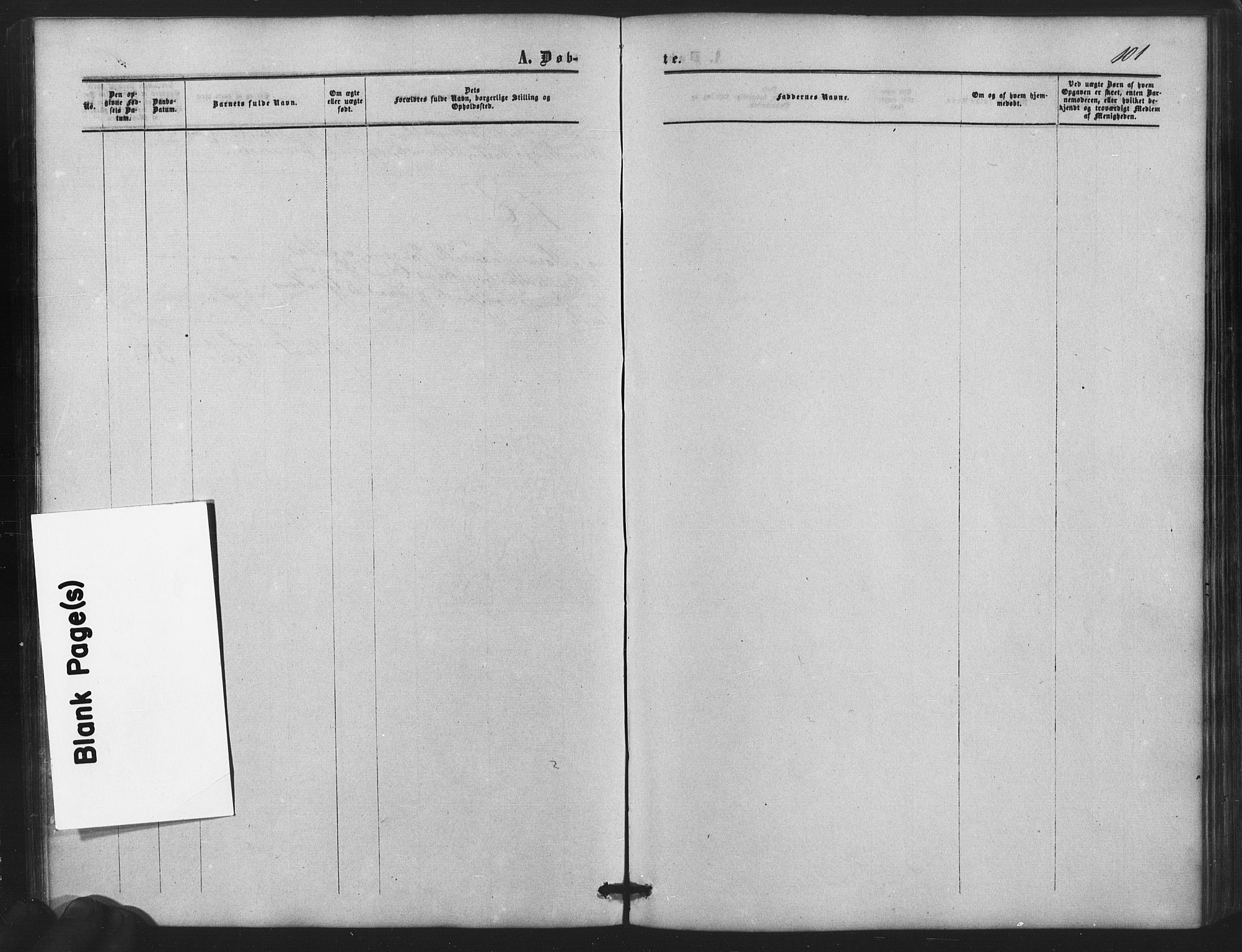 Nes prestekontor Kirkebøker, SAO/A-10410/F/Fb/L0001: Parish register (official) no. II 1, 1859-1882, p. 101