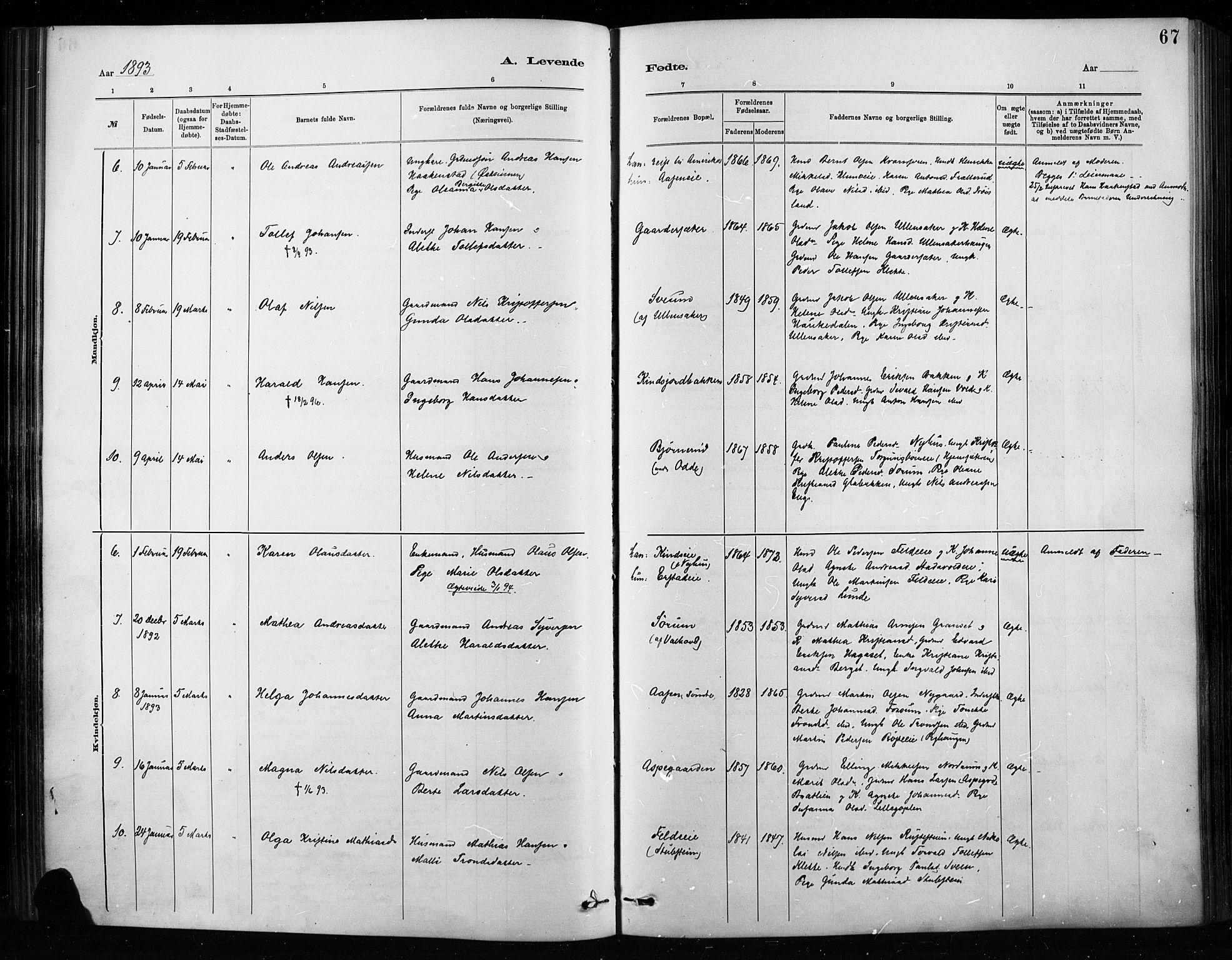 Nordre Land prestekontor, SAH/PREST-124/H/Ha/Haa/L0004: Parish register (official) no. 4, 1882-1896, p. 67