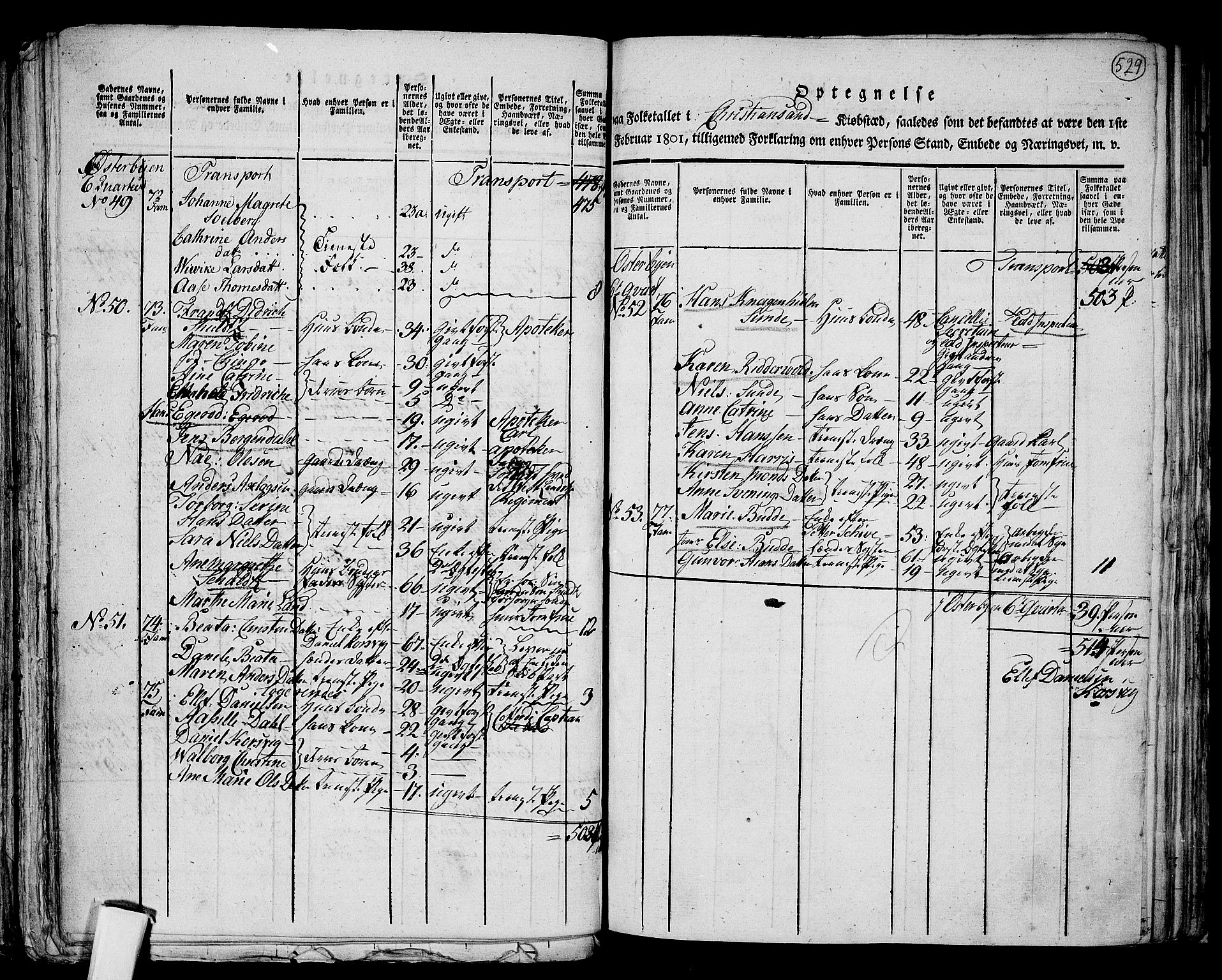 RA, 1801 census for 1001P Kristiansand, 1801, p. 528b-529a