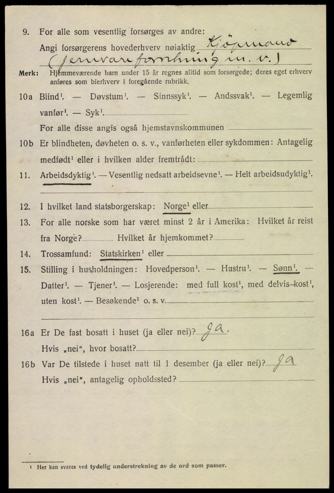 SAH, 1920 census for Hamar, 1920, p. 12314