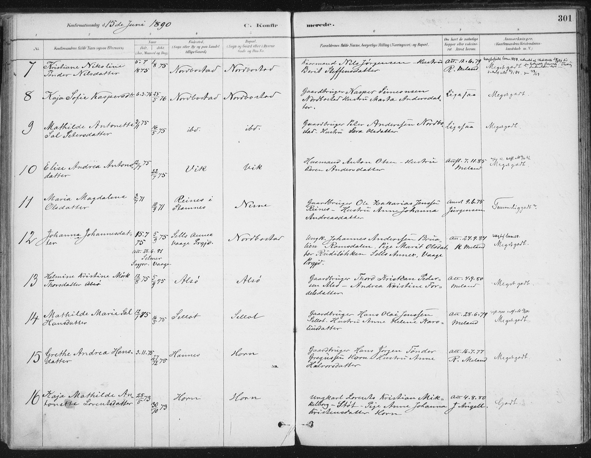 Ministerialprotokoller, klokkerbøker og fødselsregistre - Nordland, AV/SAT-A-1459/838/L0552: Parish register (official) no. 838A10, 1880-1910, p. 301