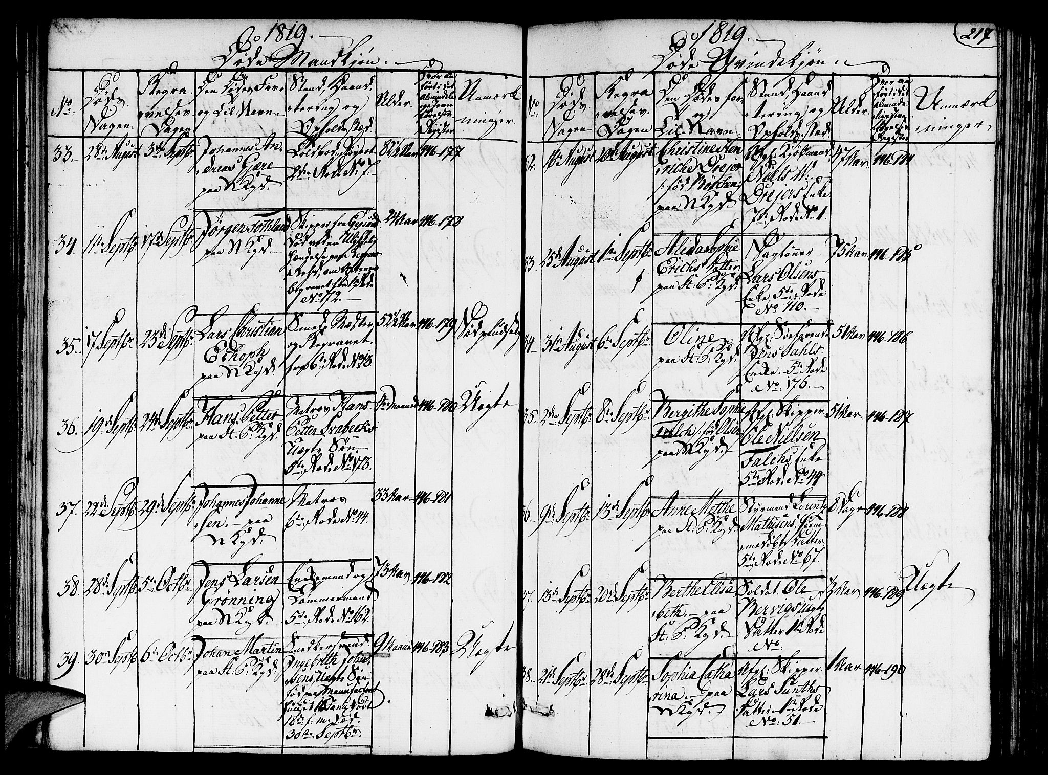 Nykirken Sokneprestembete, AV/SAB-A-77101/H/Hab/L0003: Parish register (copy) no. A 4, 1816-1821, p. 217