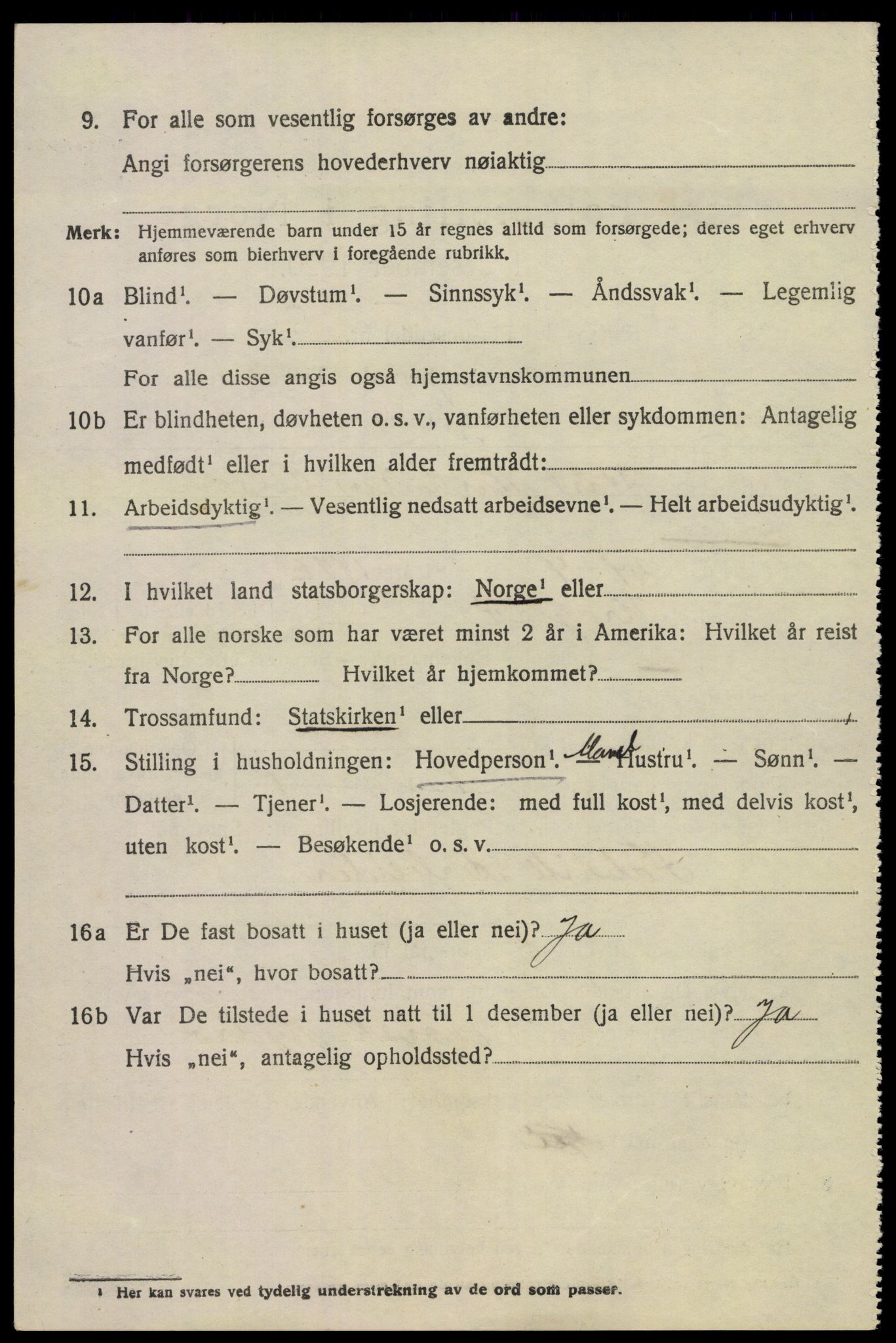 SAKO, 1920 census for Tinn, 1920, p. 13091