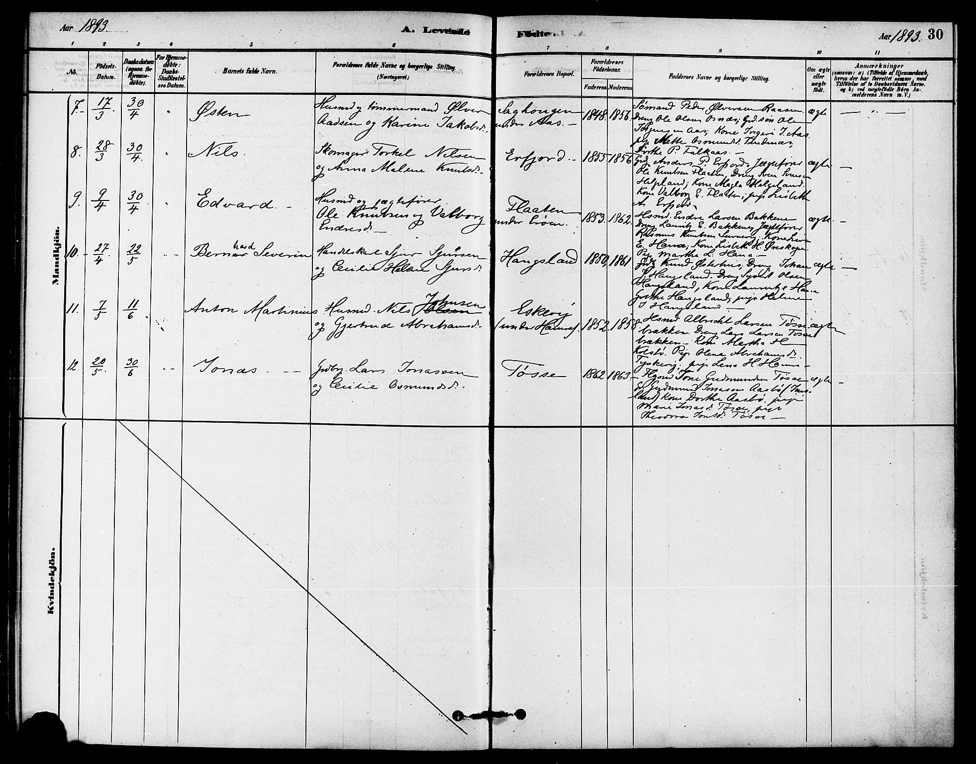 Jelsa sokneprestkontor, AV/SAST-A-101842/01/IV: Parish register (official) no. A 9, 1878-1898, p. 30