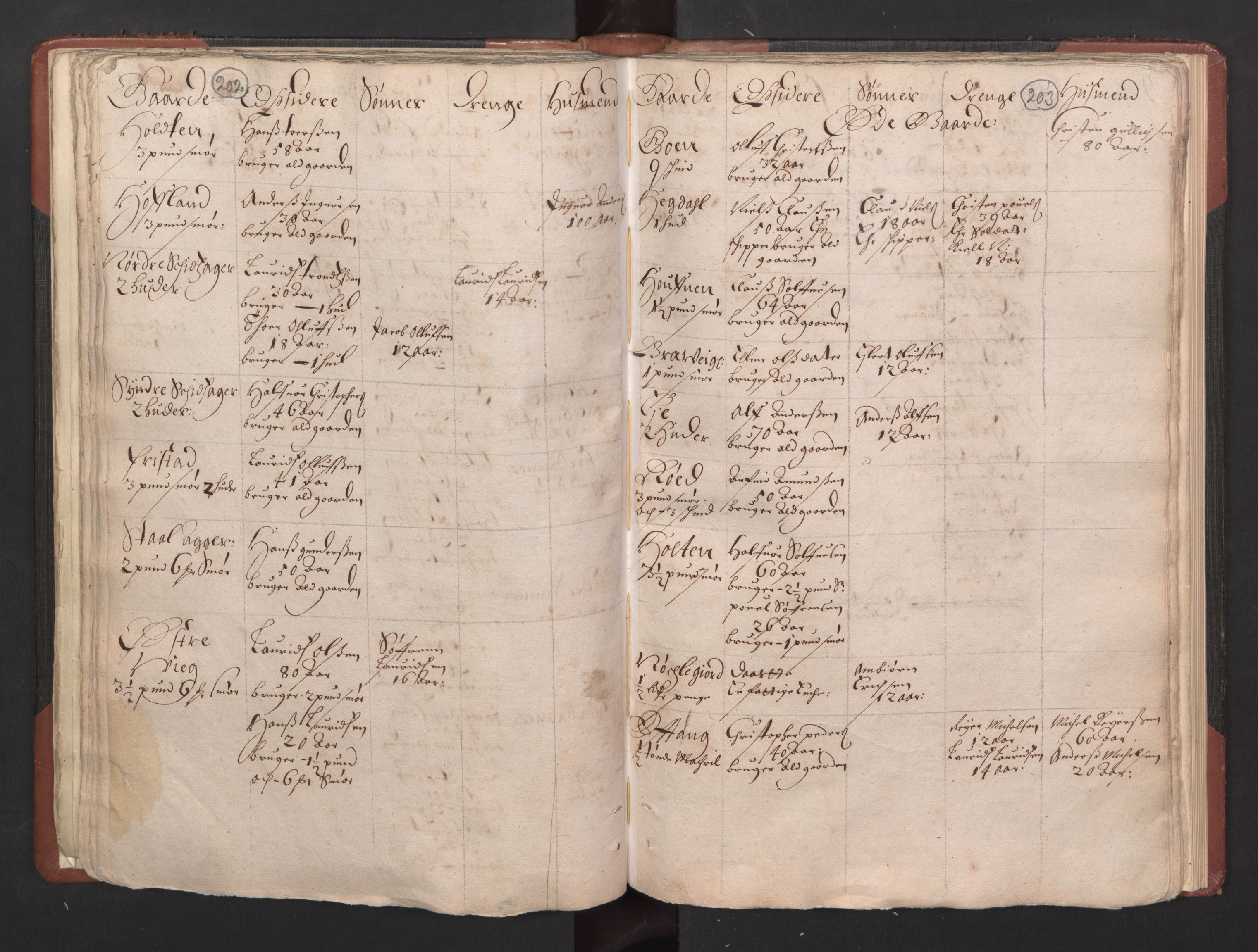 RA, Bailiff's Census 1664-1666, no. 5: Modern Buskerud county and modern Vestfold county, 1664, p. 202-203