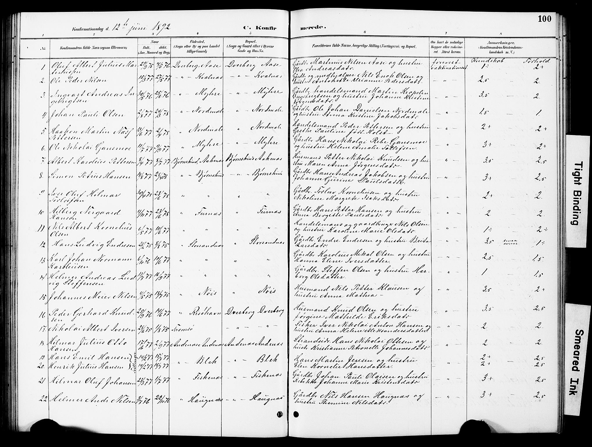 Ministerialprotokoller, klokkerbøker og fødselsregistre - Nordland, AV/SAT-A-1459/897/L1413: Parish register (copy) no. 897C03, 1887-1903, p. 100