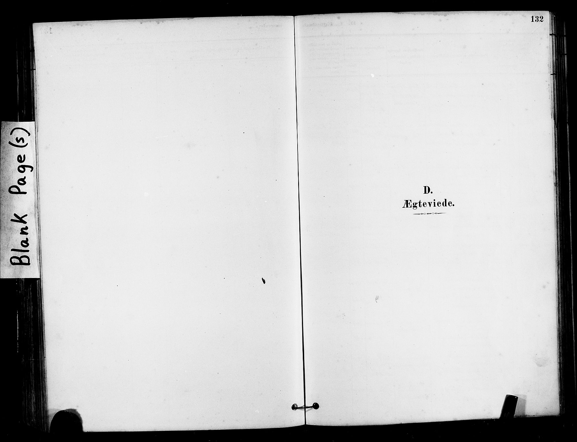 Ministerialprotokoller, klokkerbøker og fødselsregistre - Møre og Romsdal, SAT/A-1454/525/L0376: Parish register (copy) no. 525C02, 1880-1902, p. 132