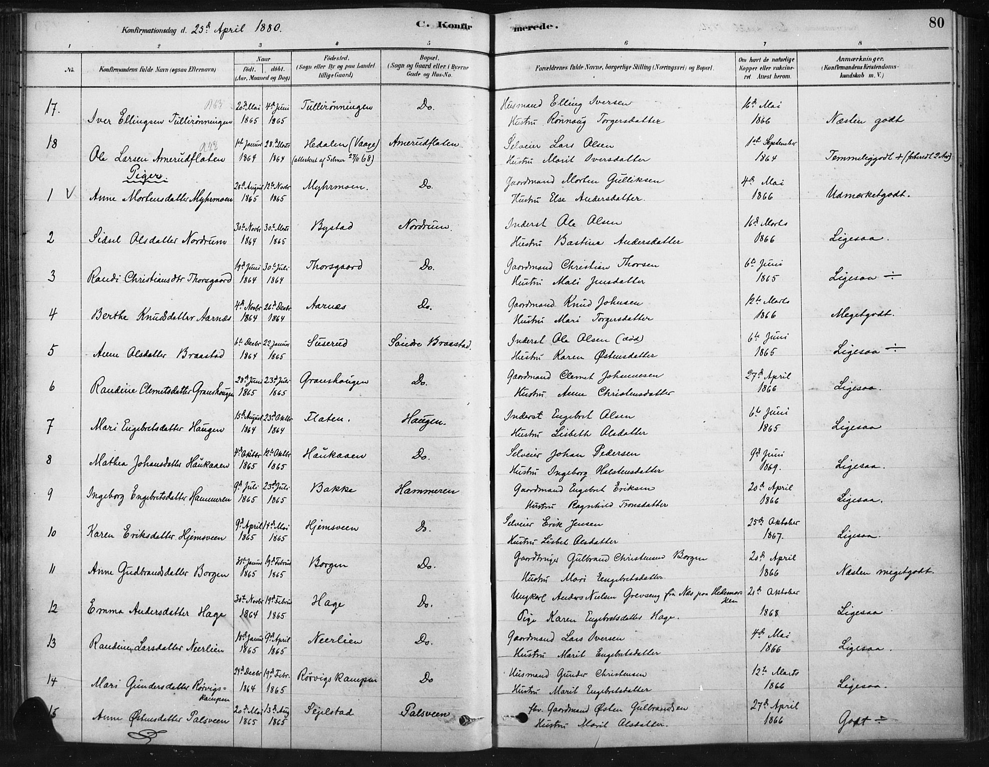 Ringebu prestekontor, AV/SAH-PREST-082/H/Ha/Haa/L0009: Parish register (official) no. 9, 1878-1898, p. 80