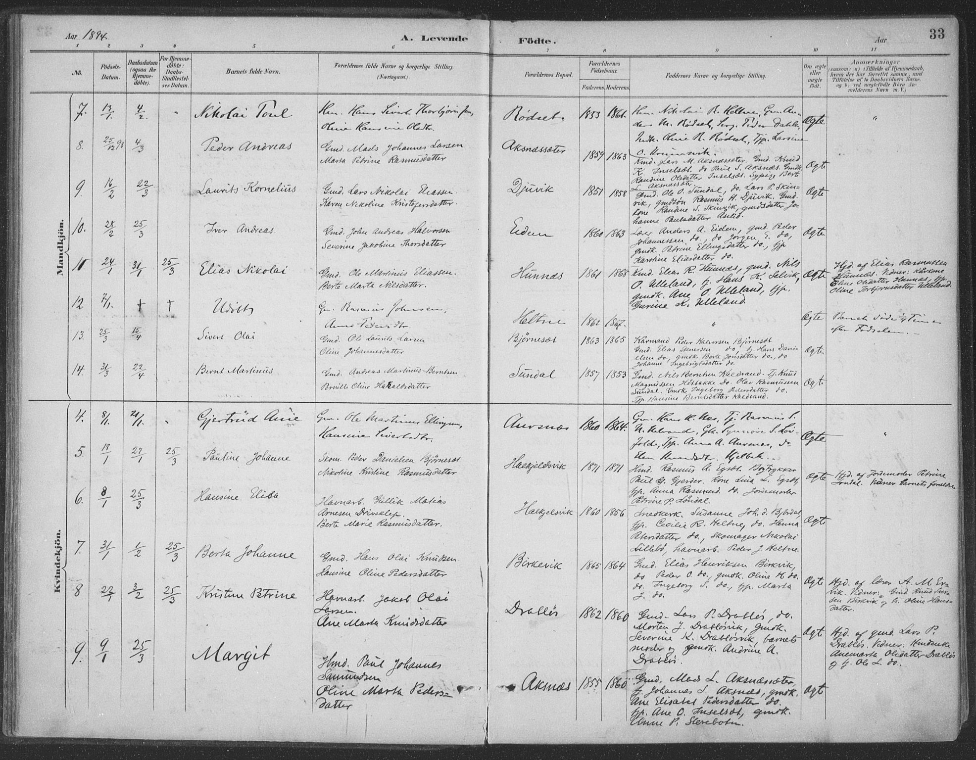 Ministerialprotokoller, klokkerbøker og fødselsregistre - Møre og Romsdal, AV/SAT-A-1454/511/L0142: Parish register (official) no. 511A09, 1891-1905, p. 33